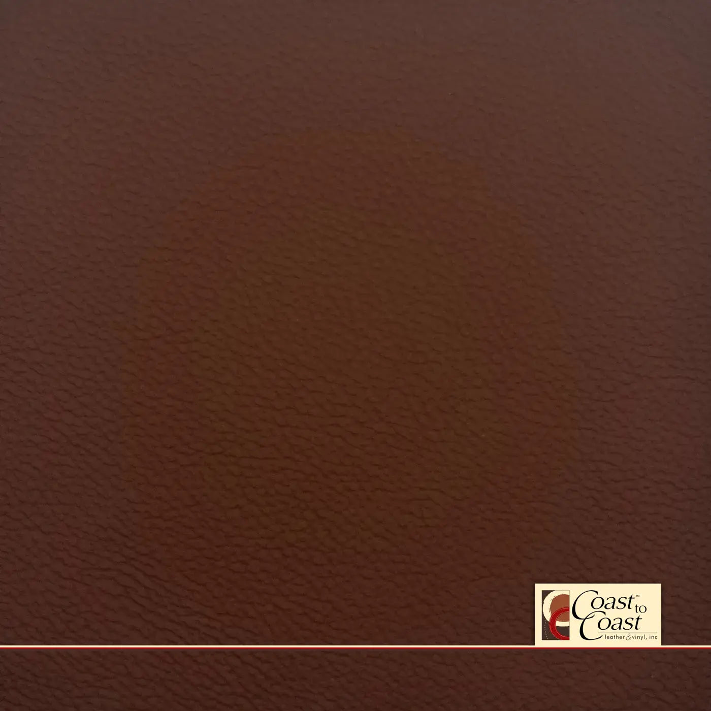 BMW Castanea Full Hide / Plain Leather