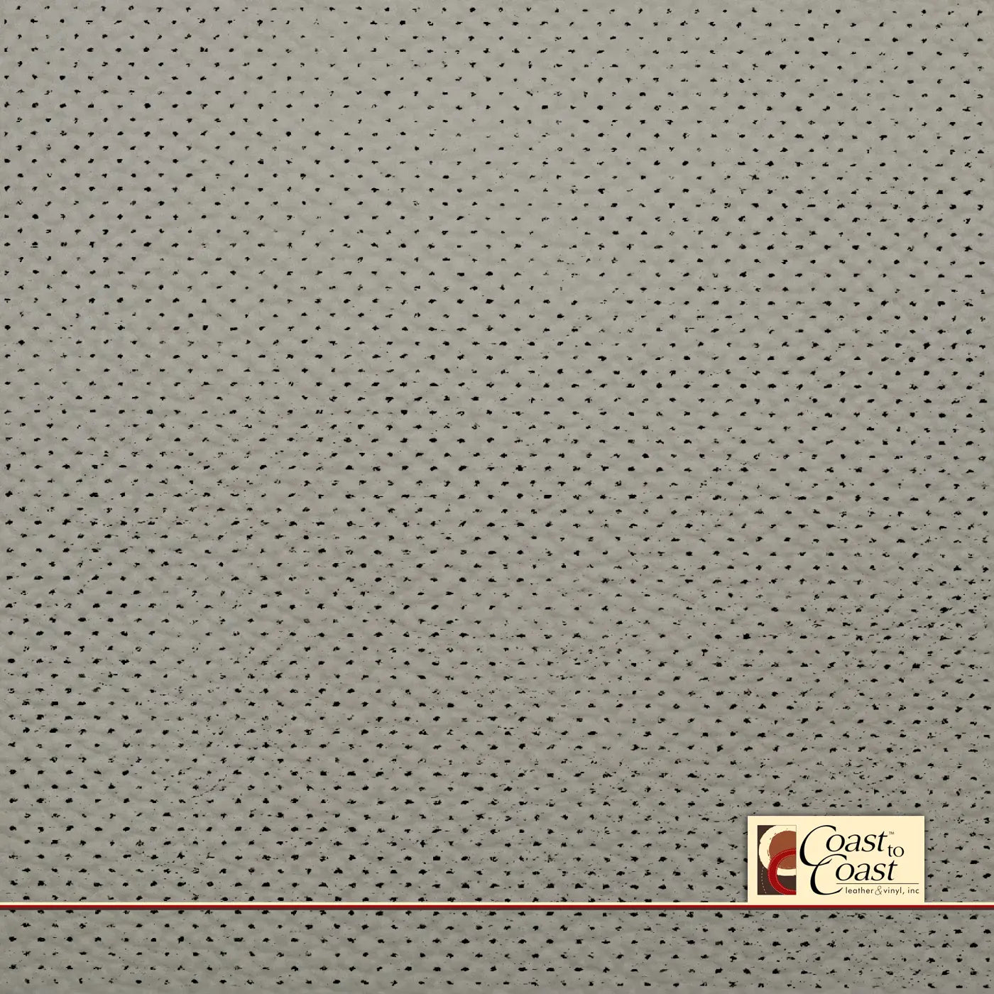 Nissan/Infiniti Cotton Full Hide / Gm Mirco Perf (1/16In) Leather