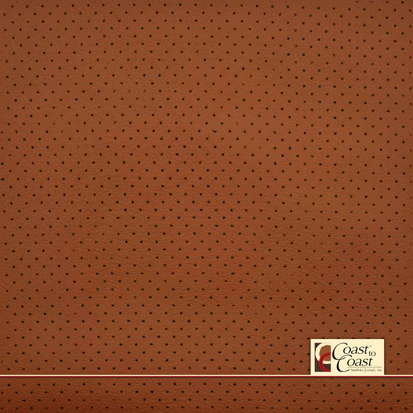 BMW Argon Brown/Tan Full Hide / Mini Perf (1/8In) Leather