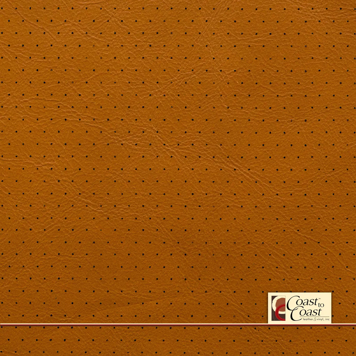 Butternut Full Hide / Euro Perf (3/8In) Leather