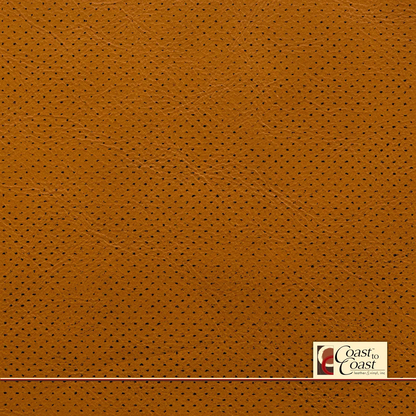 Butternut Full Hide / Gm Mirco Perf (1/16In) Leather