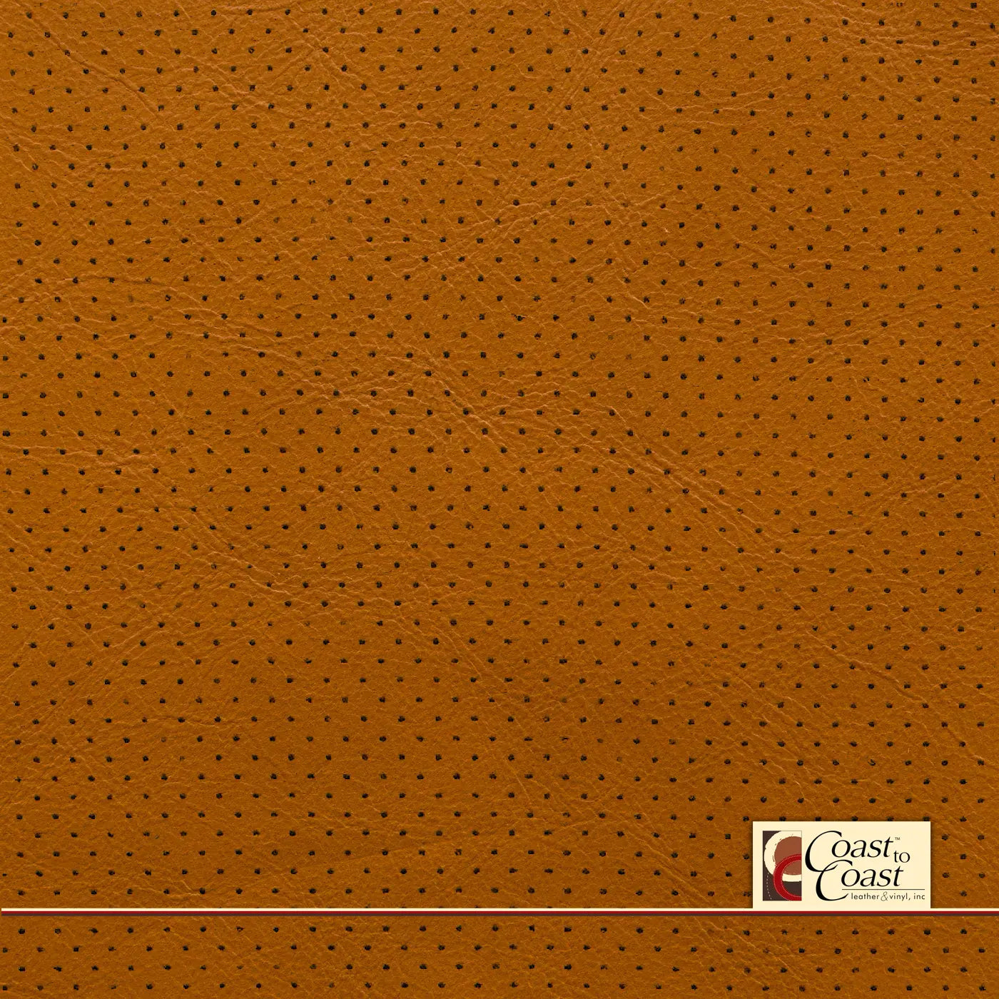 Butternut Full Hide / Mini Perf (1/8In) Leather