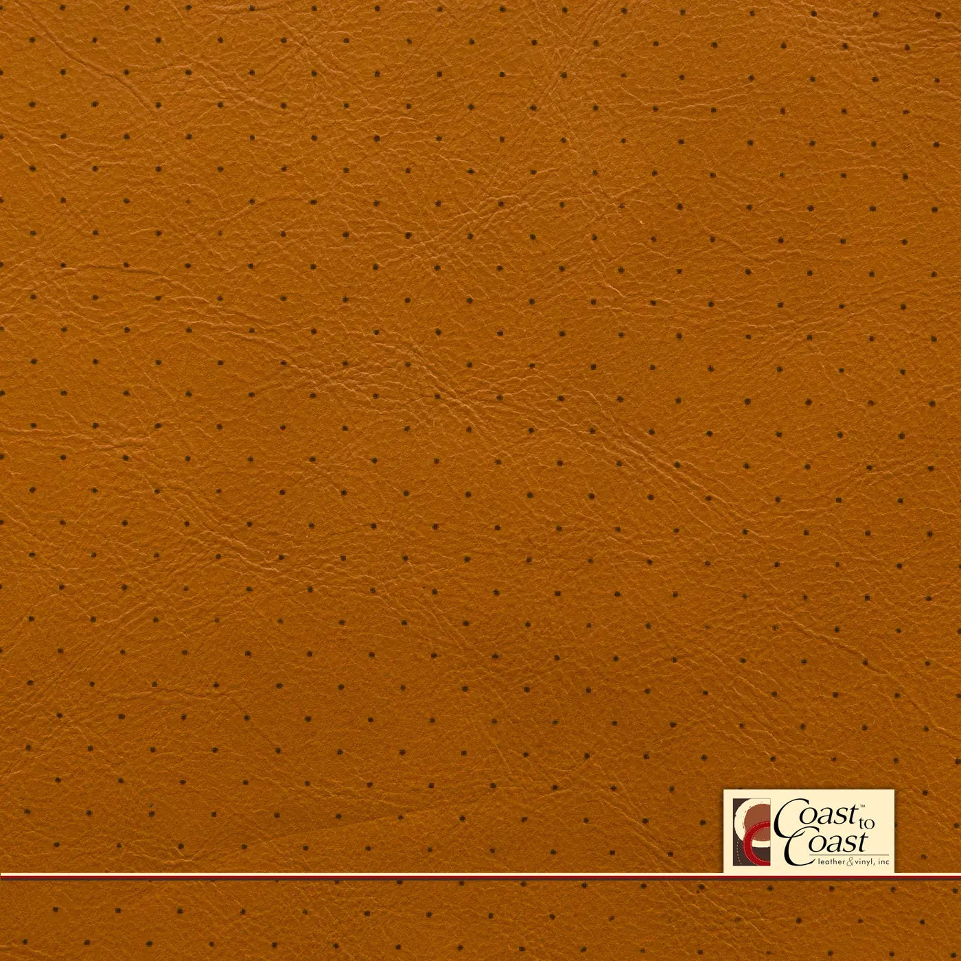 Butternut Full Hide / Standard Perf (3/8In) Leather
