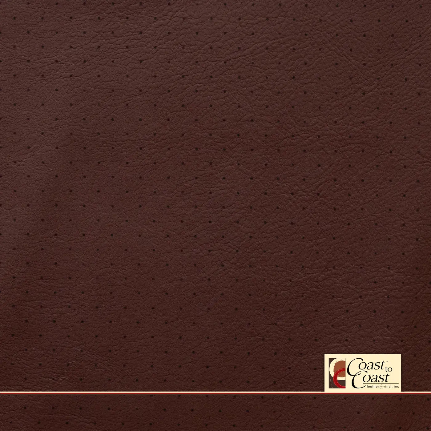 Autumn Blaze Full Hide / Standard Perf (3/8In) Leather