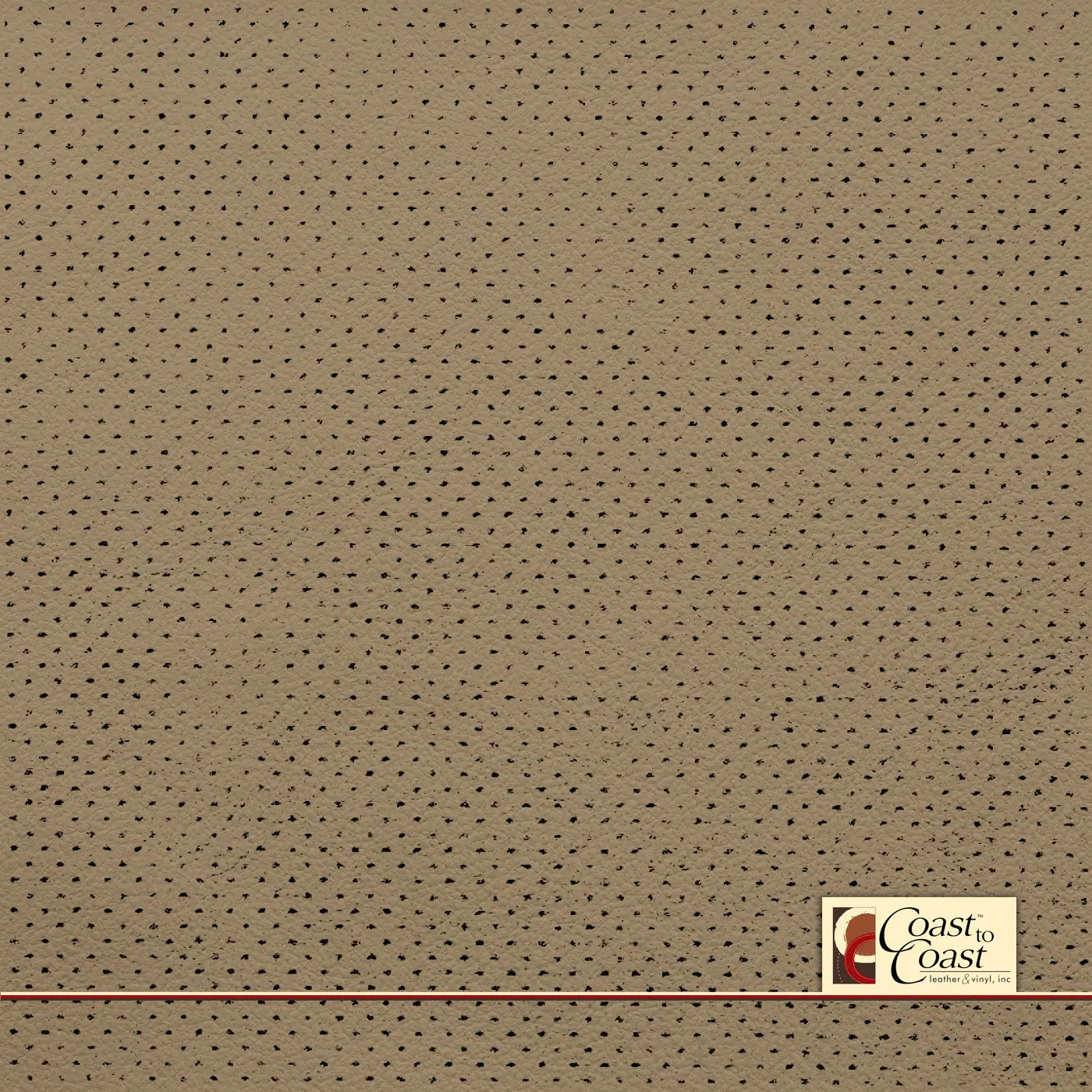 Toyota Cashmere Full Hide / Gm Mirco Perf (1/16In) Leather