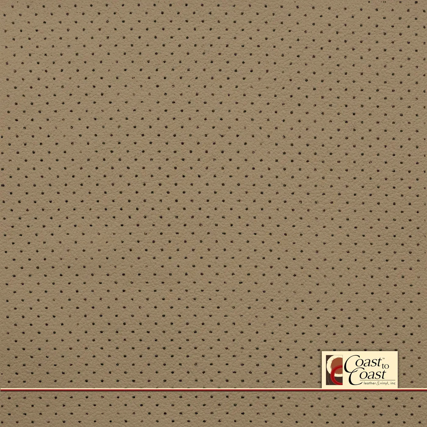 Toyota Cashmere Full Hide / Mini Perf (1/8In) Leather