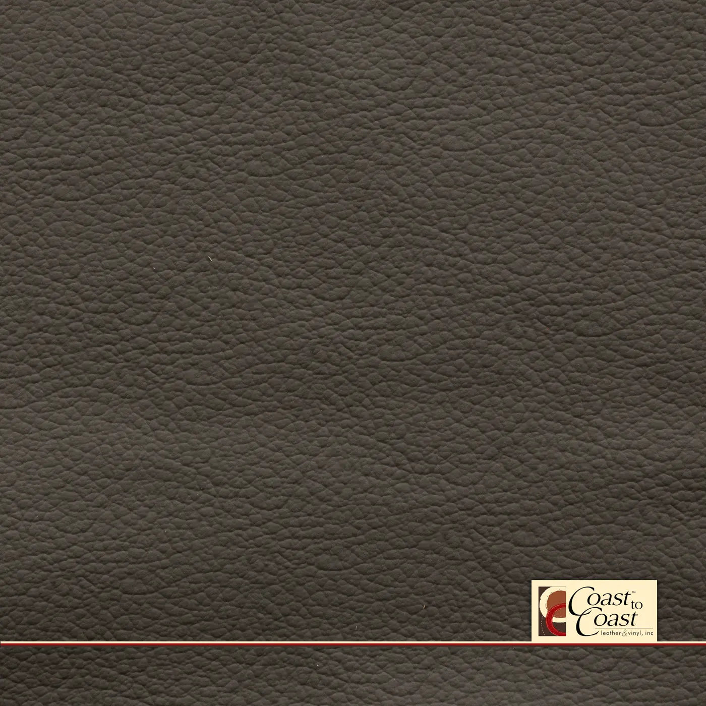 Honda Odyssey Truffle Full Hide / Plain Leather