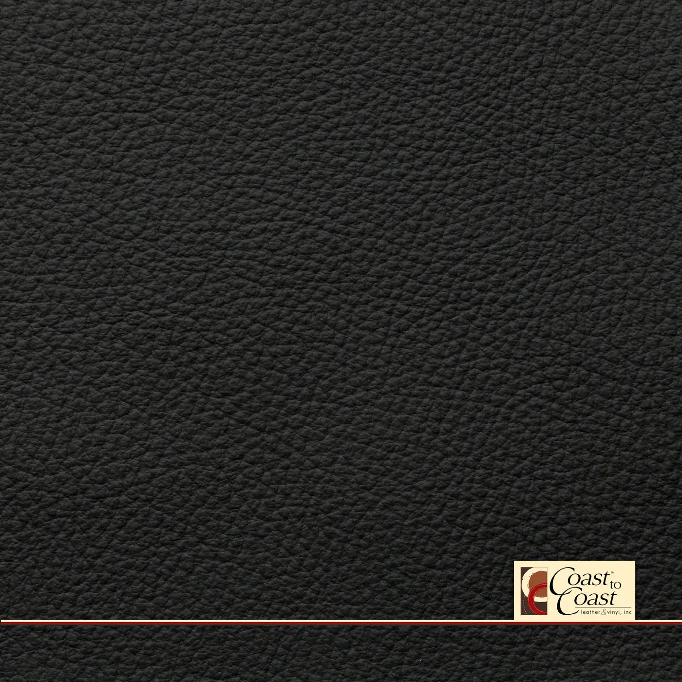 Bmw Black Full Hide / Plain Leather