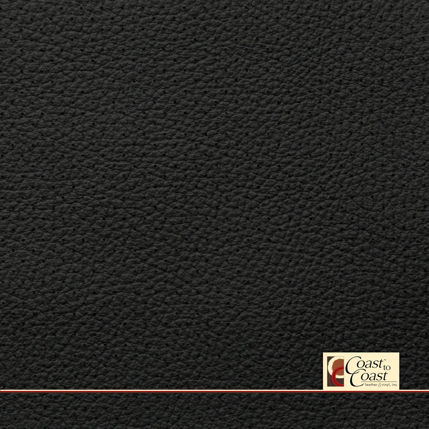 Bmw Black Full Hide / Small Hampton (1/4In) Leather