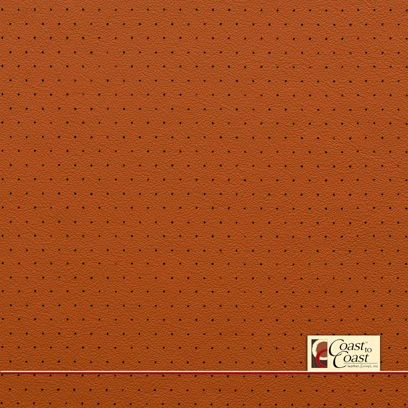 Bmw Gold Brown Full Hide / Euro Perf (3/8In) Leather