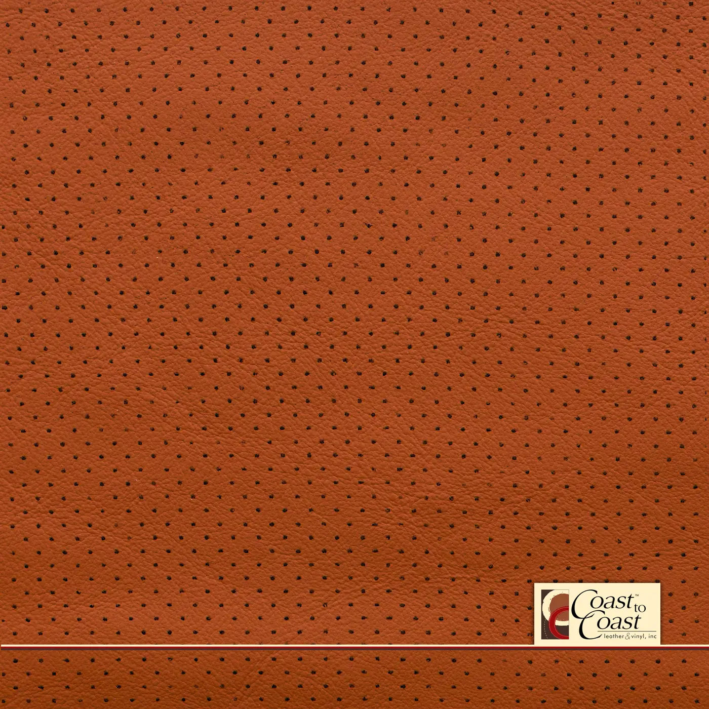 Bmw E-Copper Full Hide / Mini Perf (1/8In) Leather