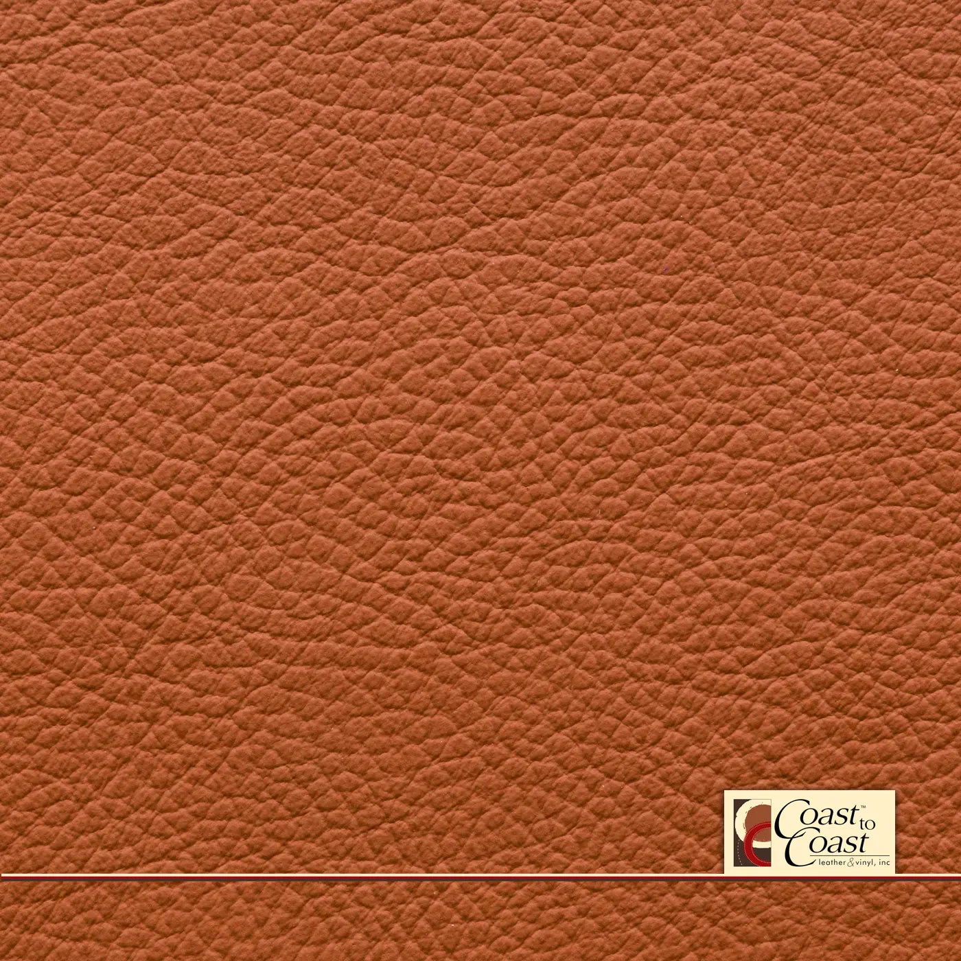 Mercedes Sienna Brown Full Hide / Plain Leather