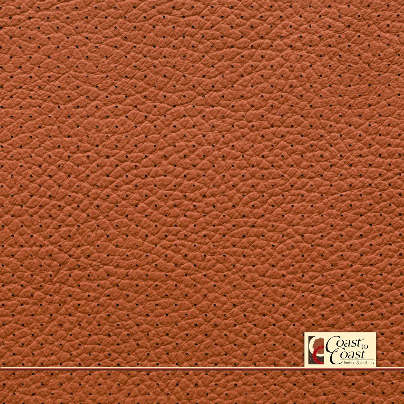 Mercedes Sienna Brown Full Hide / Small Hampton (1/4In) Leather