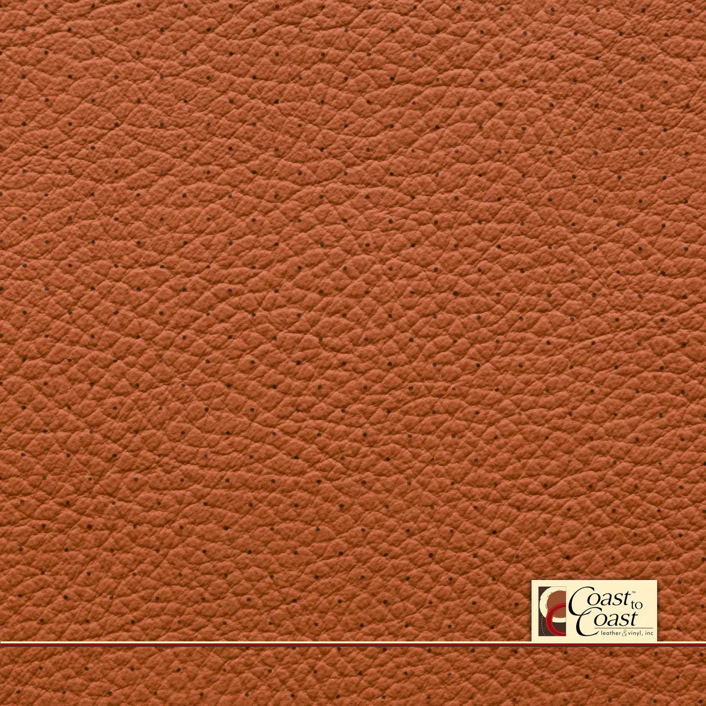 Mercedes Sienna Brown Full Hide / Standard Perf (3/8In) Leather