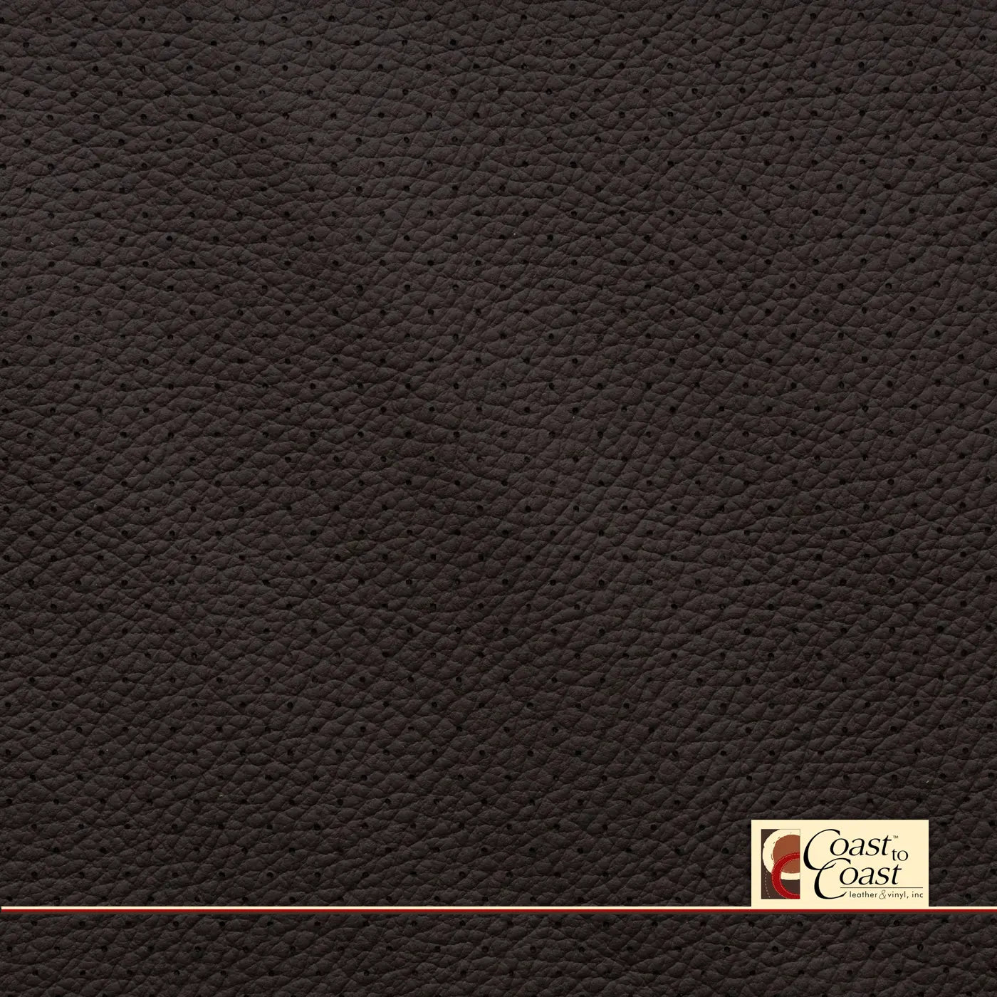 Mercedes Expresso Brown Full Hide / Small Hampton (1/4In) Leather