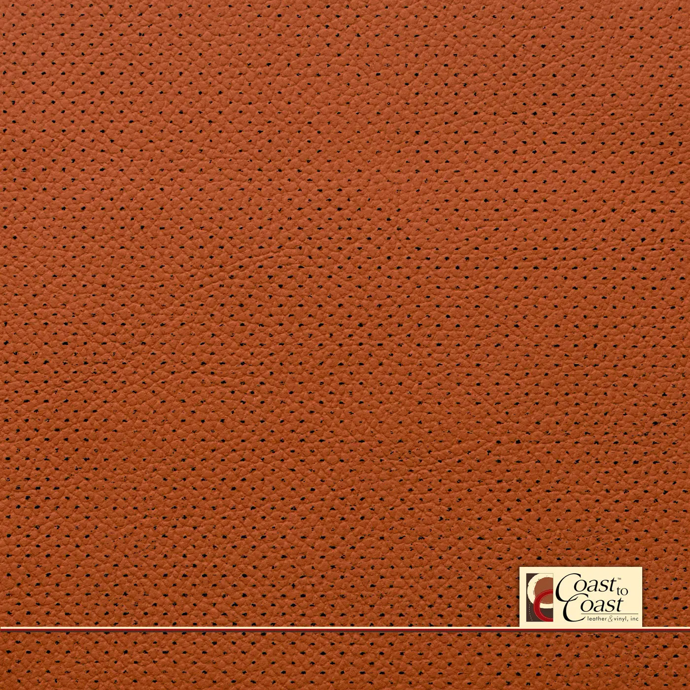 Vw Staff Orange Full Hide / Gm Mirco Perf (1/16In) Leather