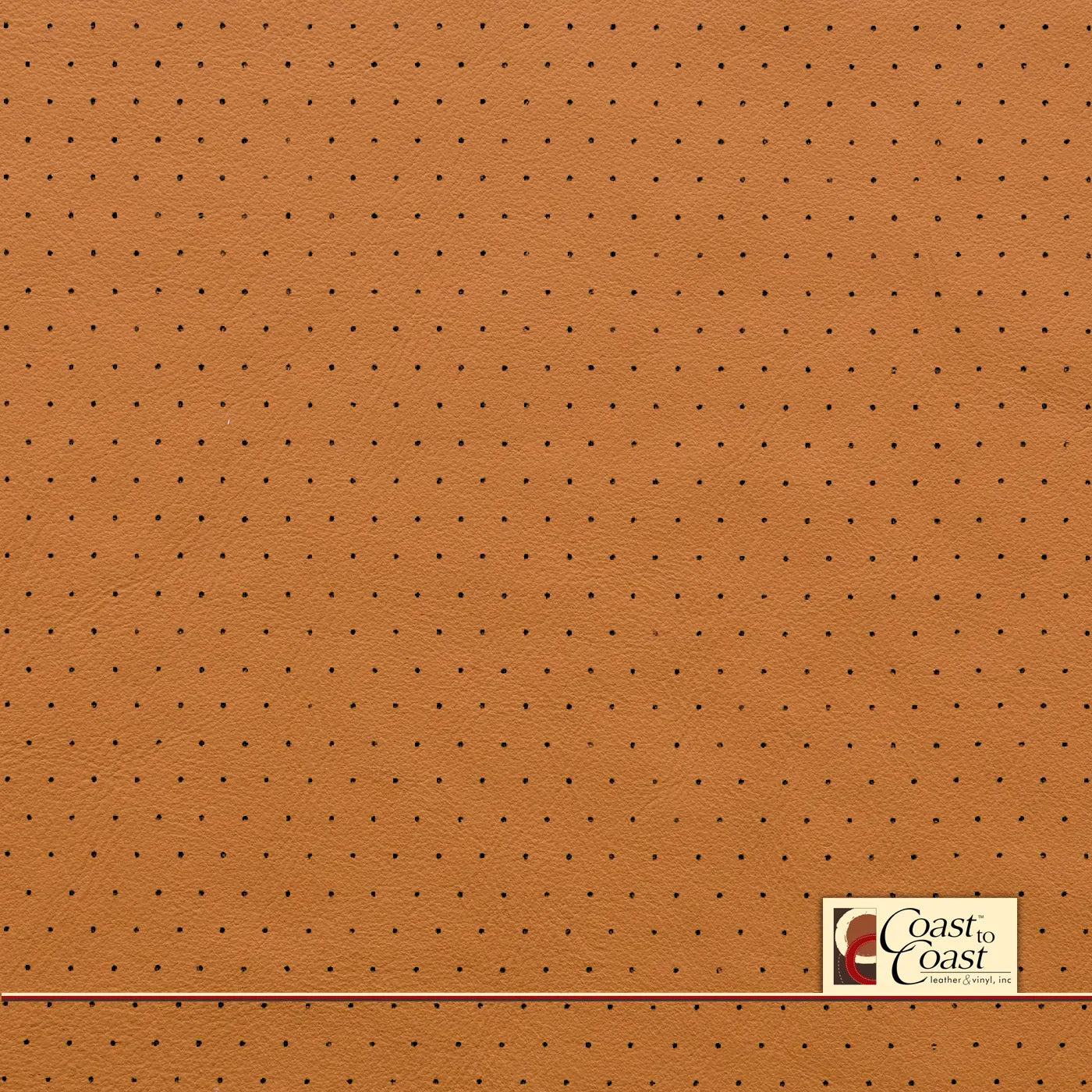 Genesis Camel Full Hide / Euro Perf (3/8In) Leather
