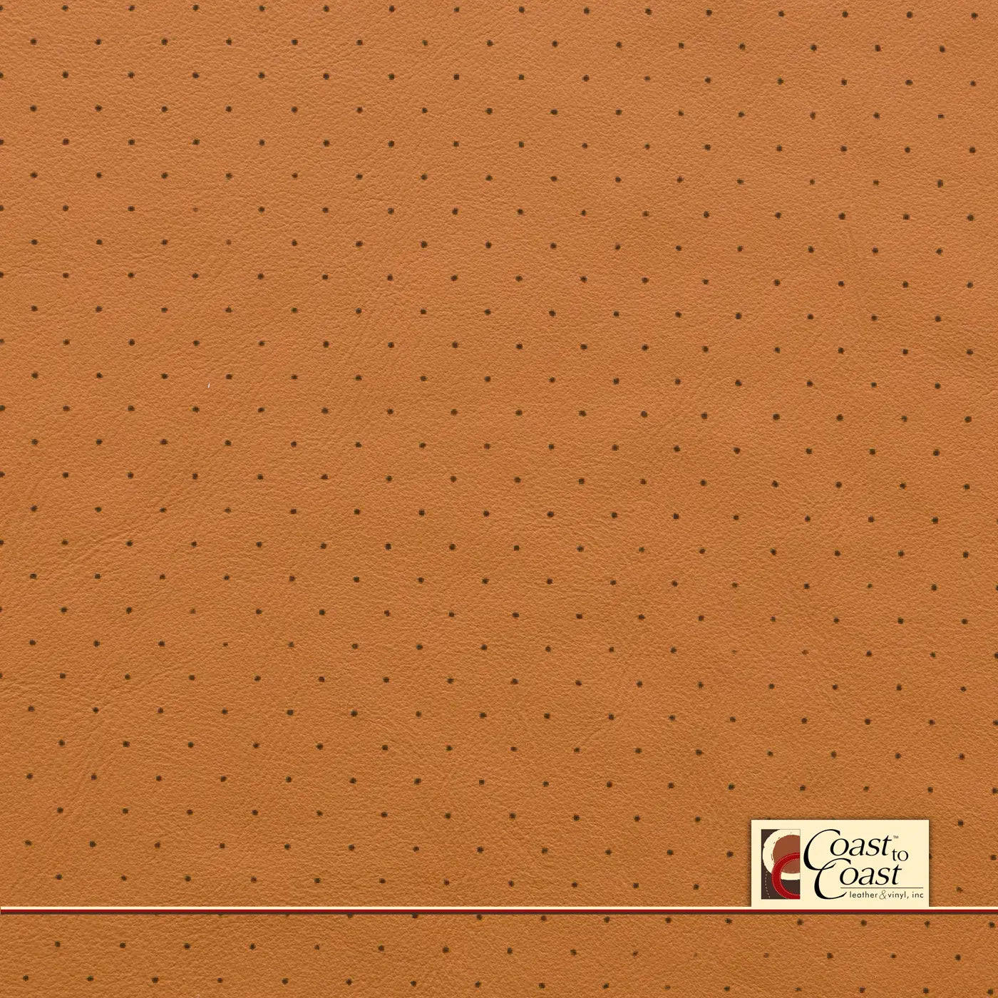 Genesis Camel Full Hide / Standard Perf (3/8In) Leather