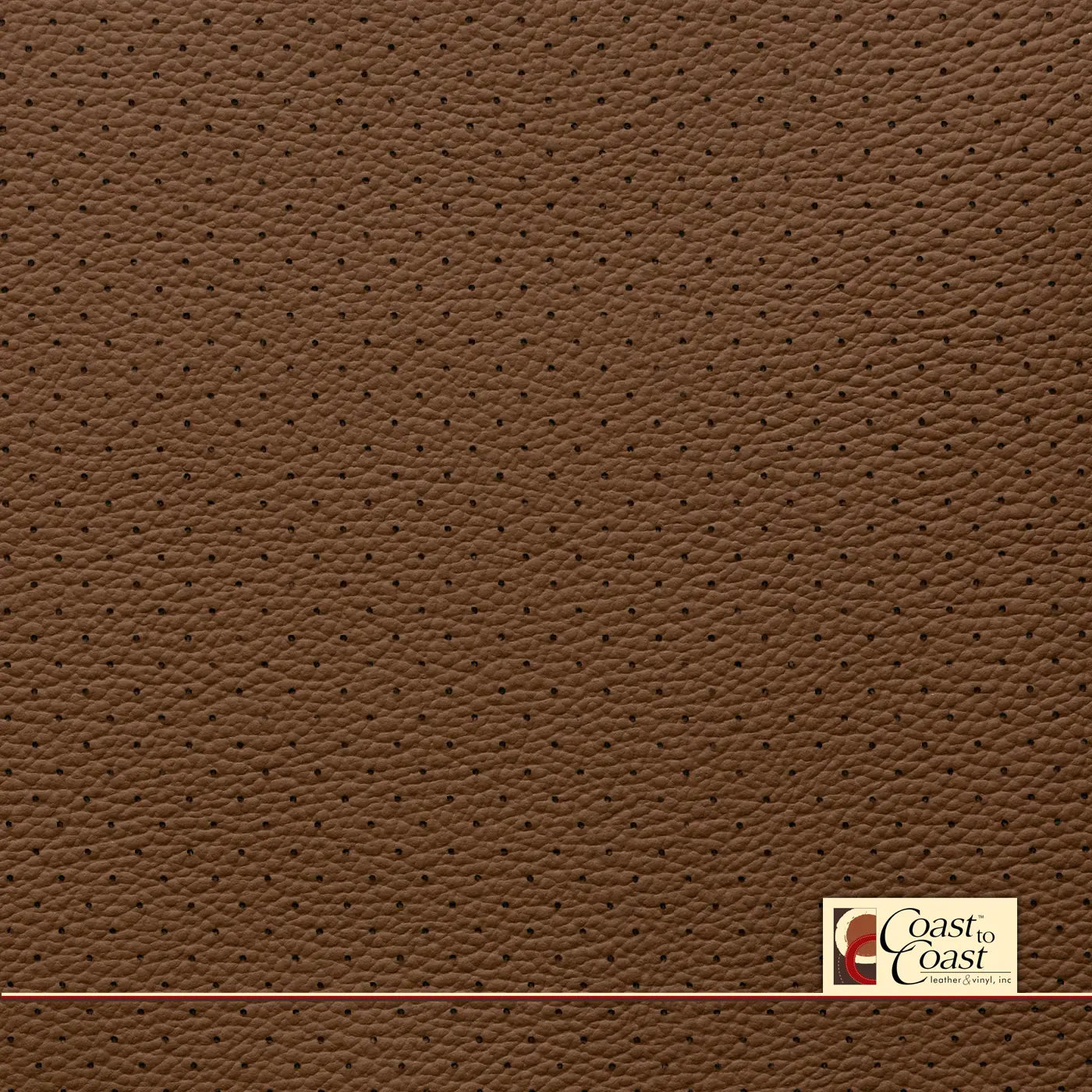 Vw Buffalo Full Hide / Small Hampton (1/4In) Leather