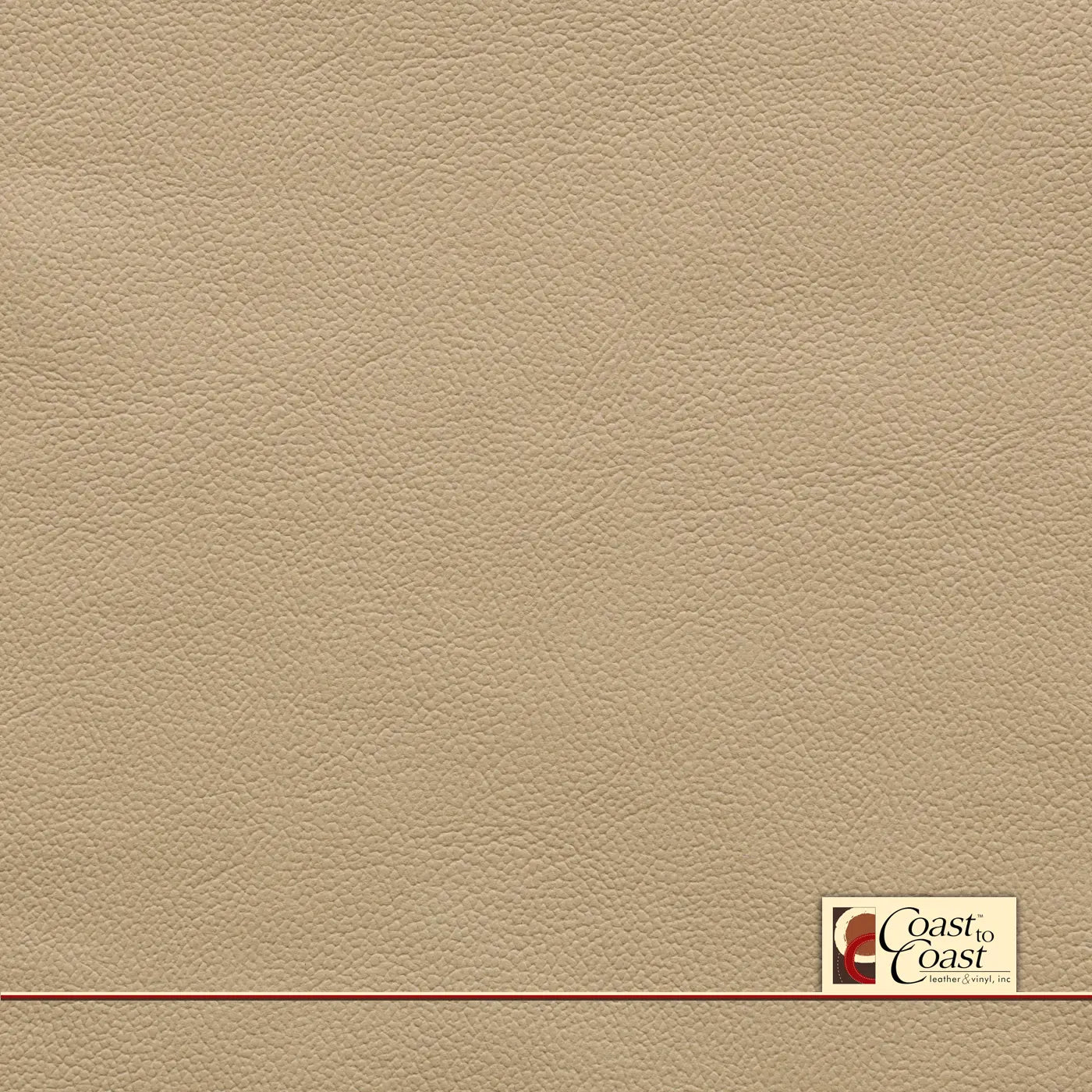Nissan Cafe Latte Plain Vinyl