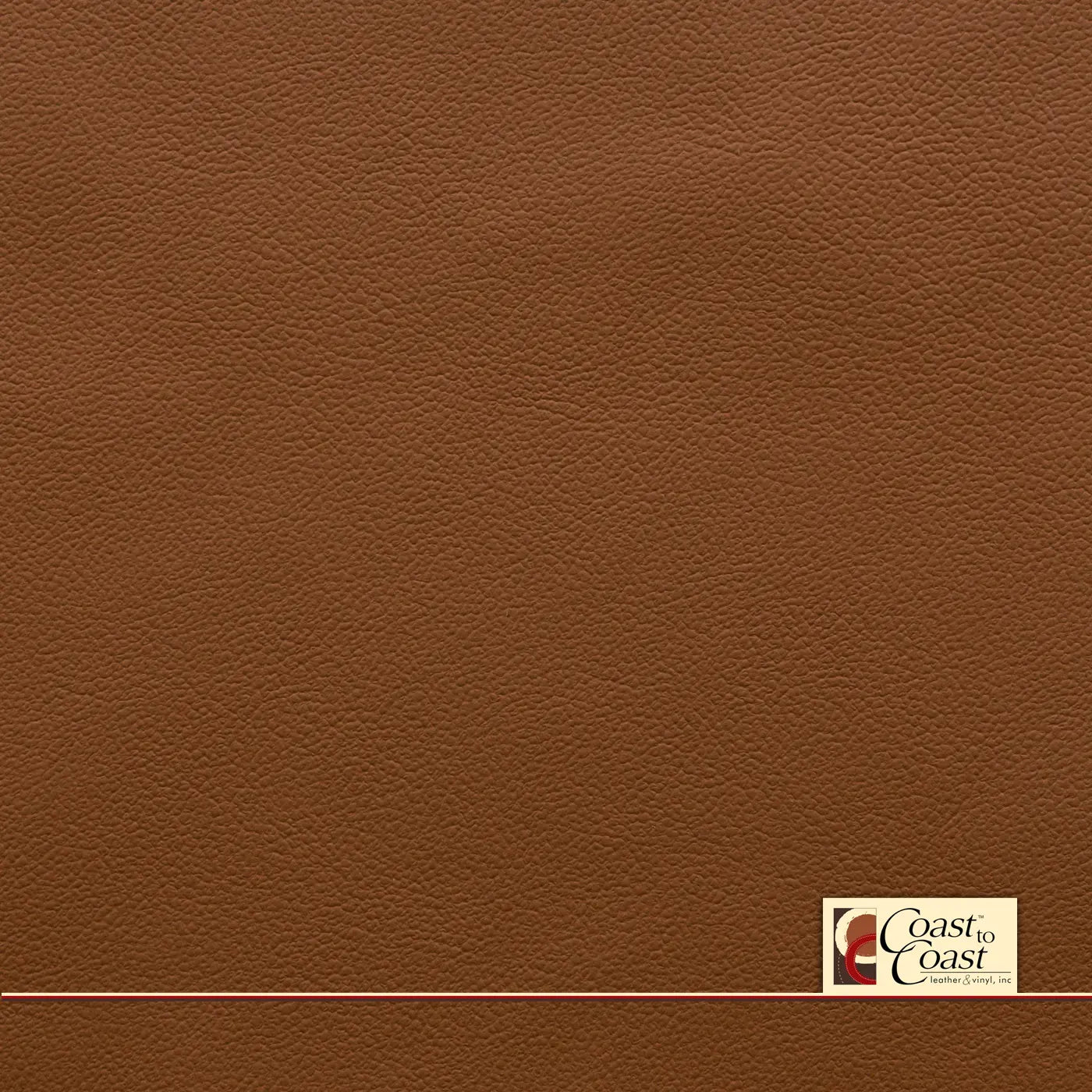 Toyota Tundra Tan Plain Vinyl