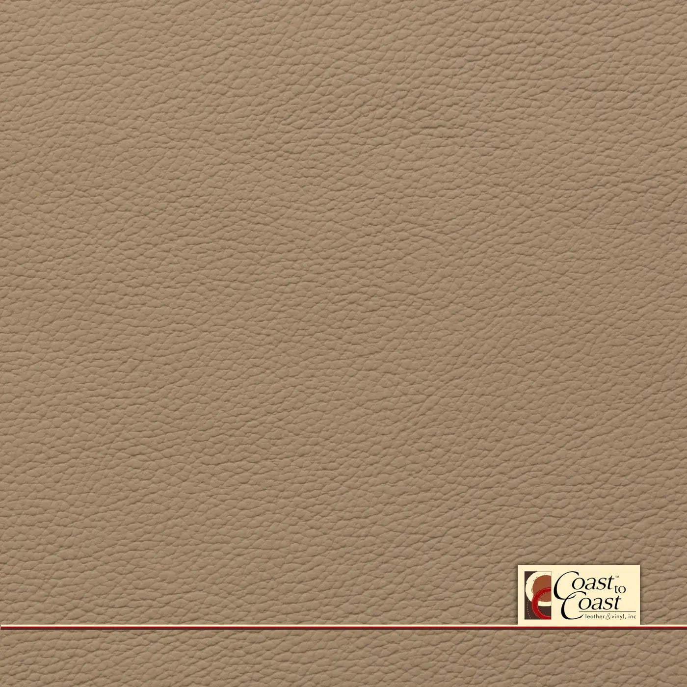 Audi Atlas Beige Plain Vinyl