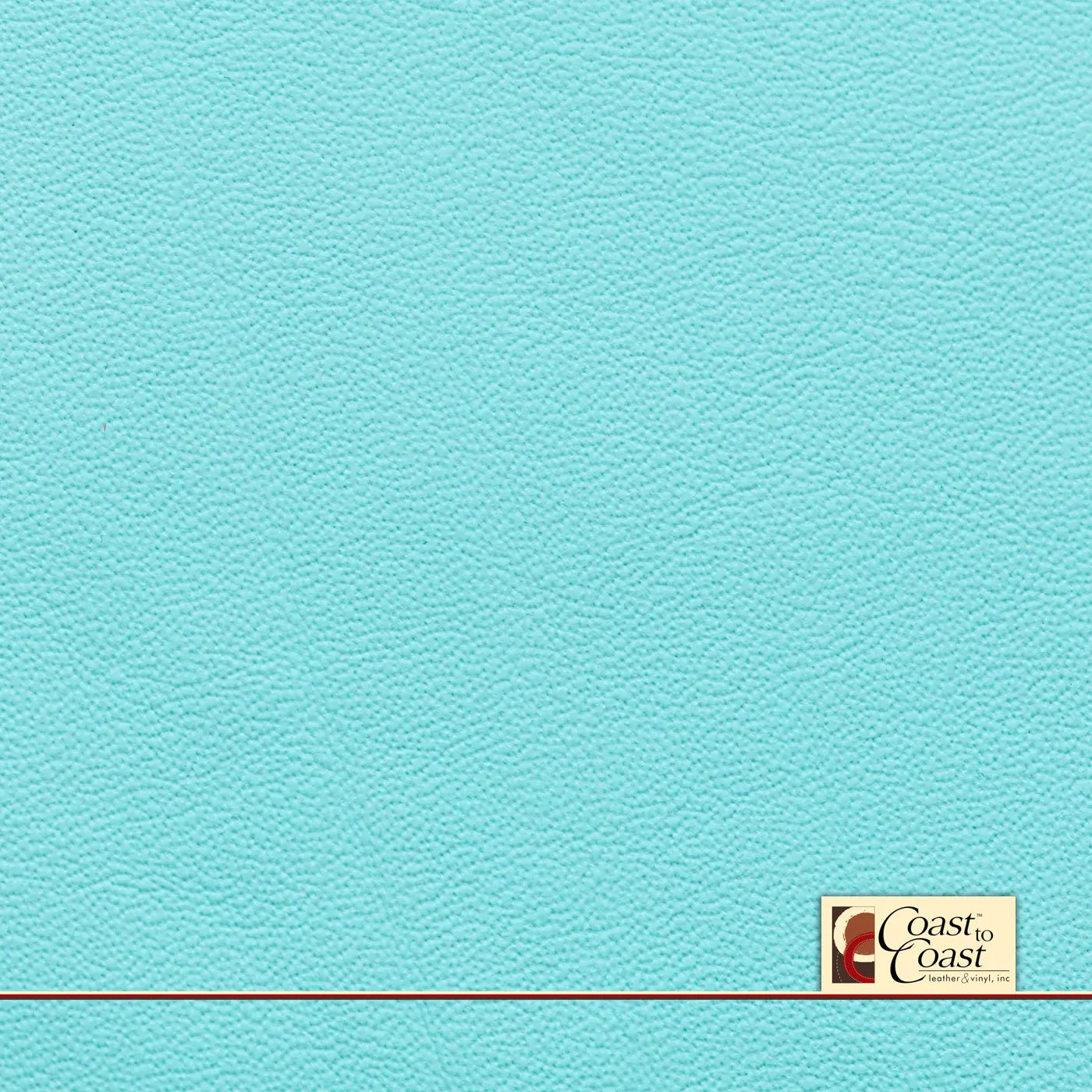 Teal Aqua