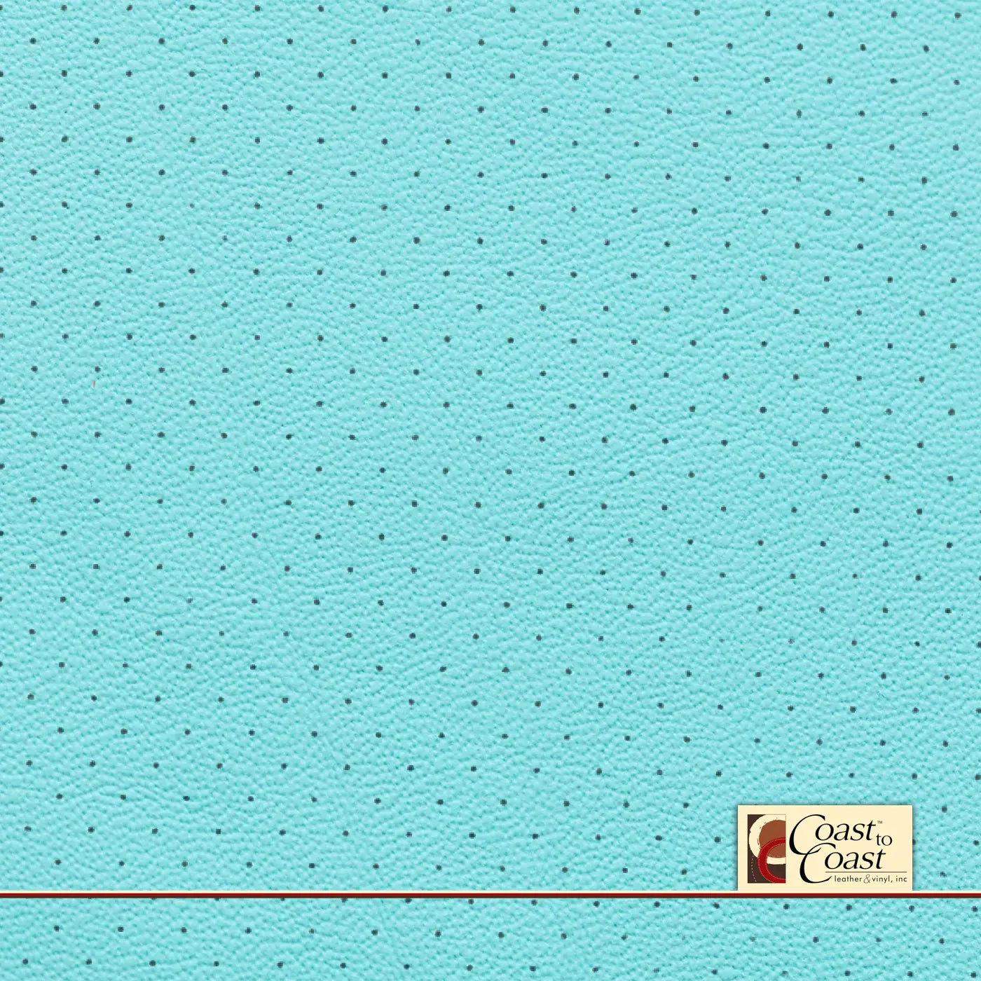 Teal Aqua