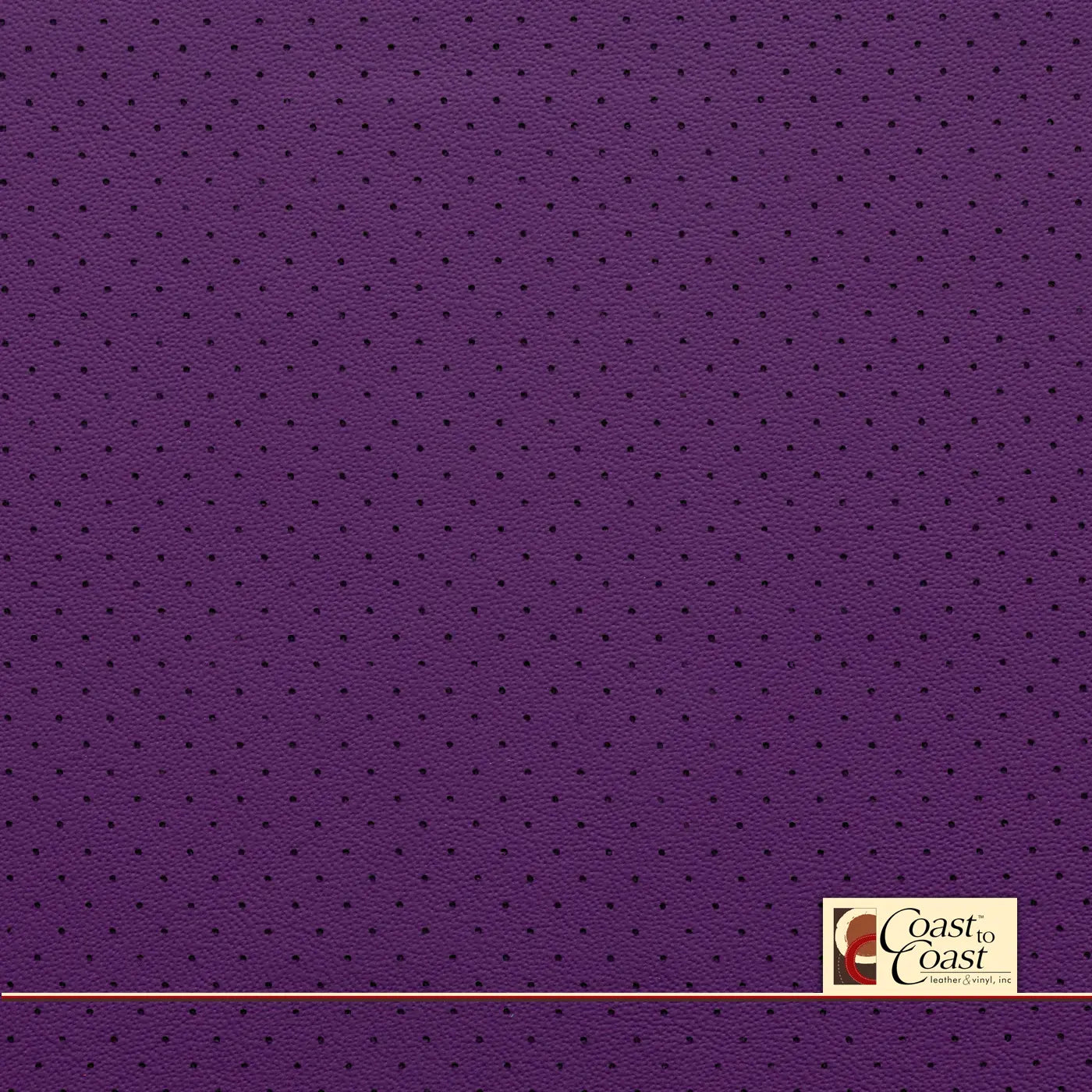 Lamborghini Purple Small Hampton (1/4In) Vinyl