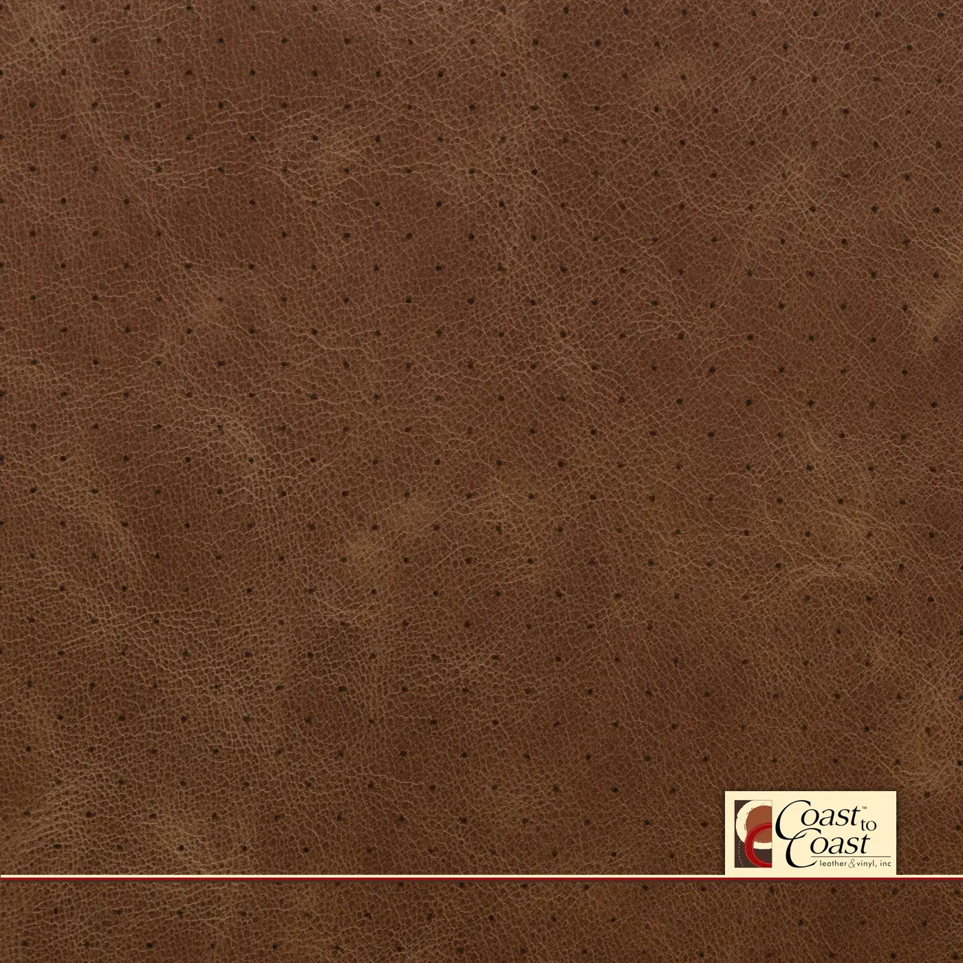Tan Bark Full Hide / Standard Perf (3/8In) Leather