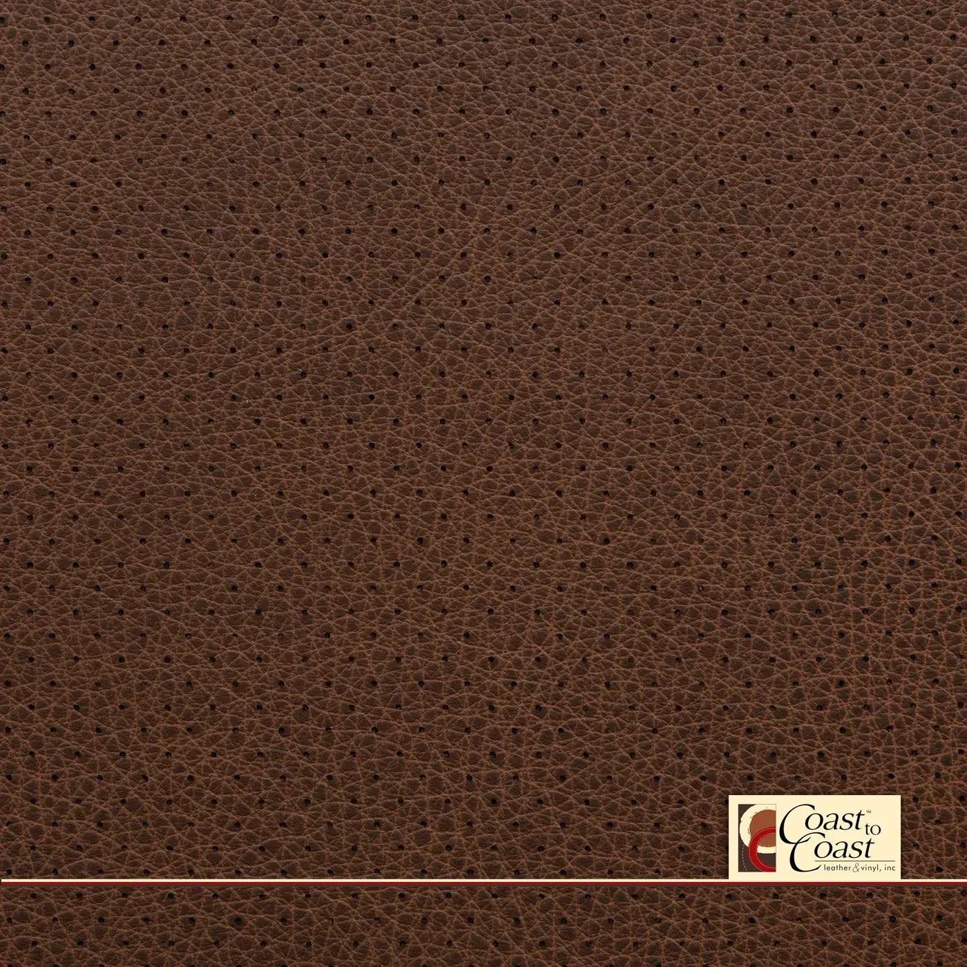 Deep Brown Full Hide / Small Hampton (1/4In) Leather