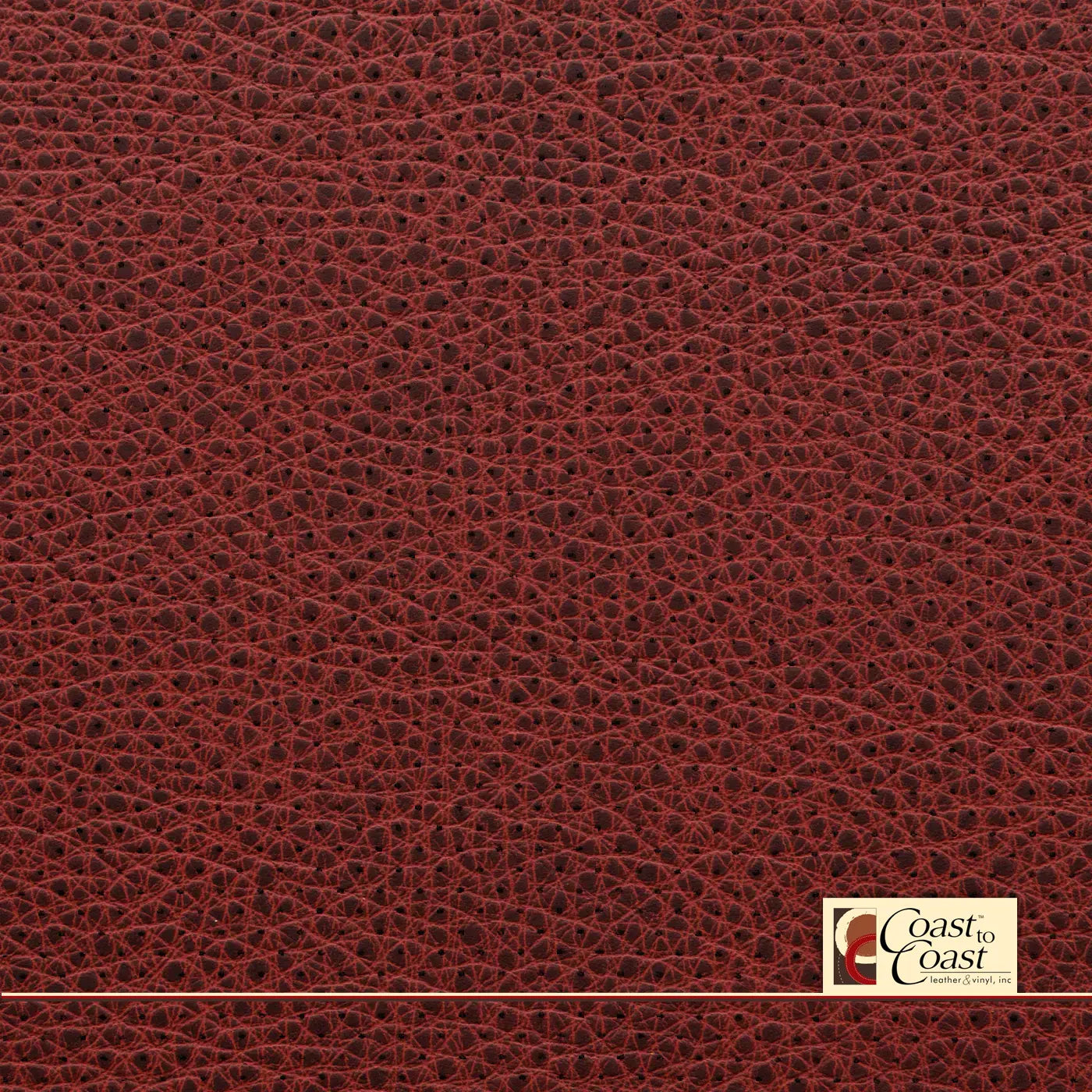 Rose Tip Full Hide / Mini Perf (1/8In) Leather