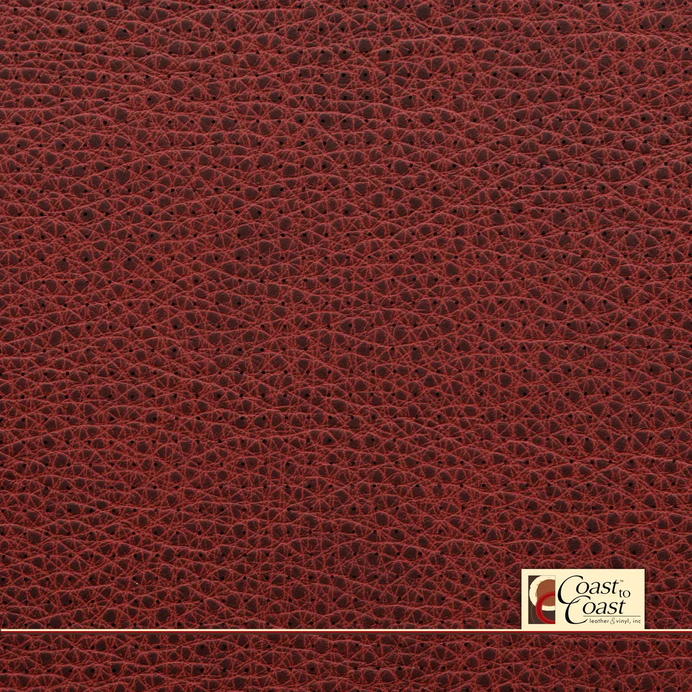 Rose Tip Full Hide / Small Squared Perf (1/4In) Leather