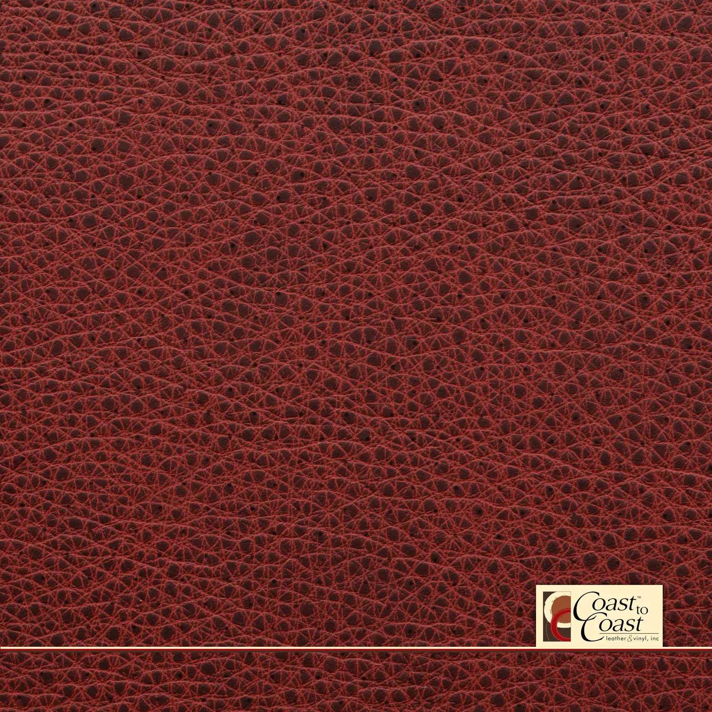 Rose Tip Full Hide / Standard Perf (3/8In) Leather