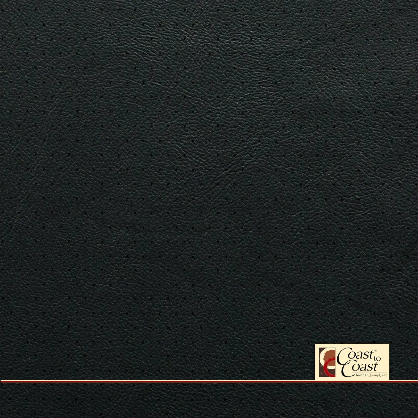 Navy Full Hide / Euro Perf (3/8In) Leather