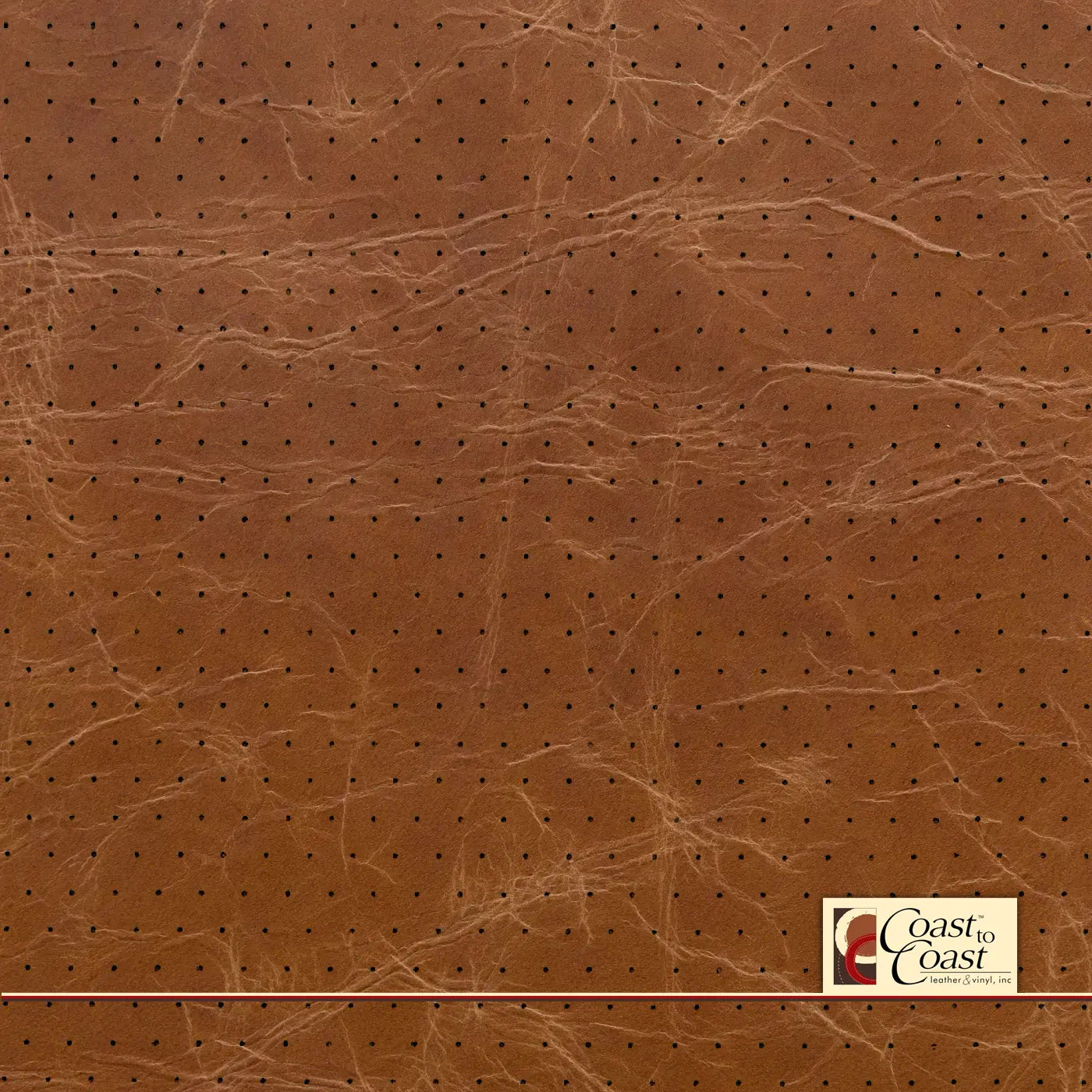 Buffalo Tan Full Hide / Euro Perf (3/8In) Leather