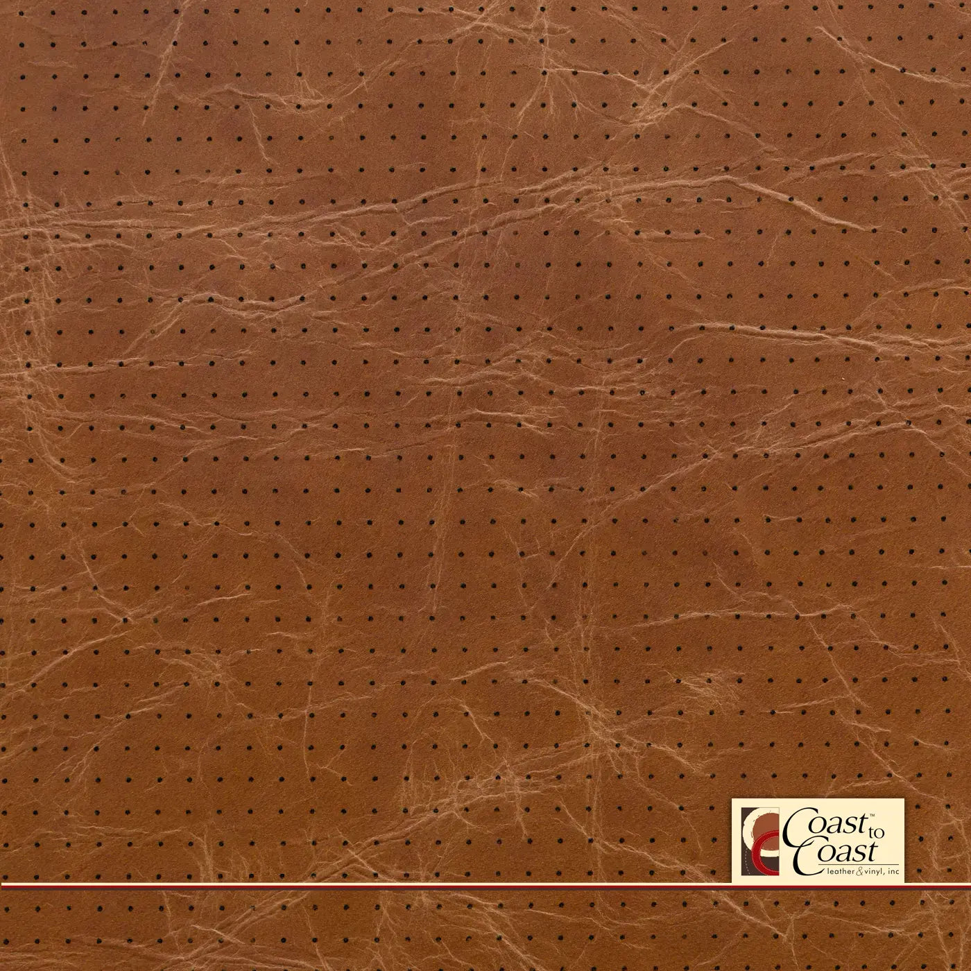 Buffalo Tan Full Hide / Small Squared Perf (1/4In) Leather