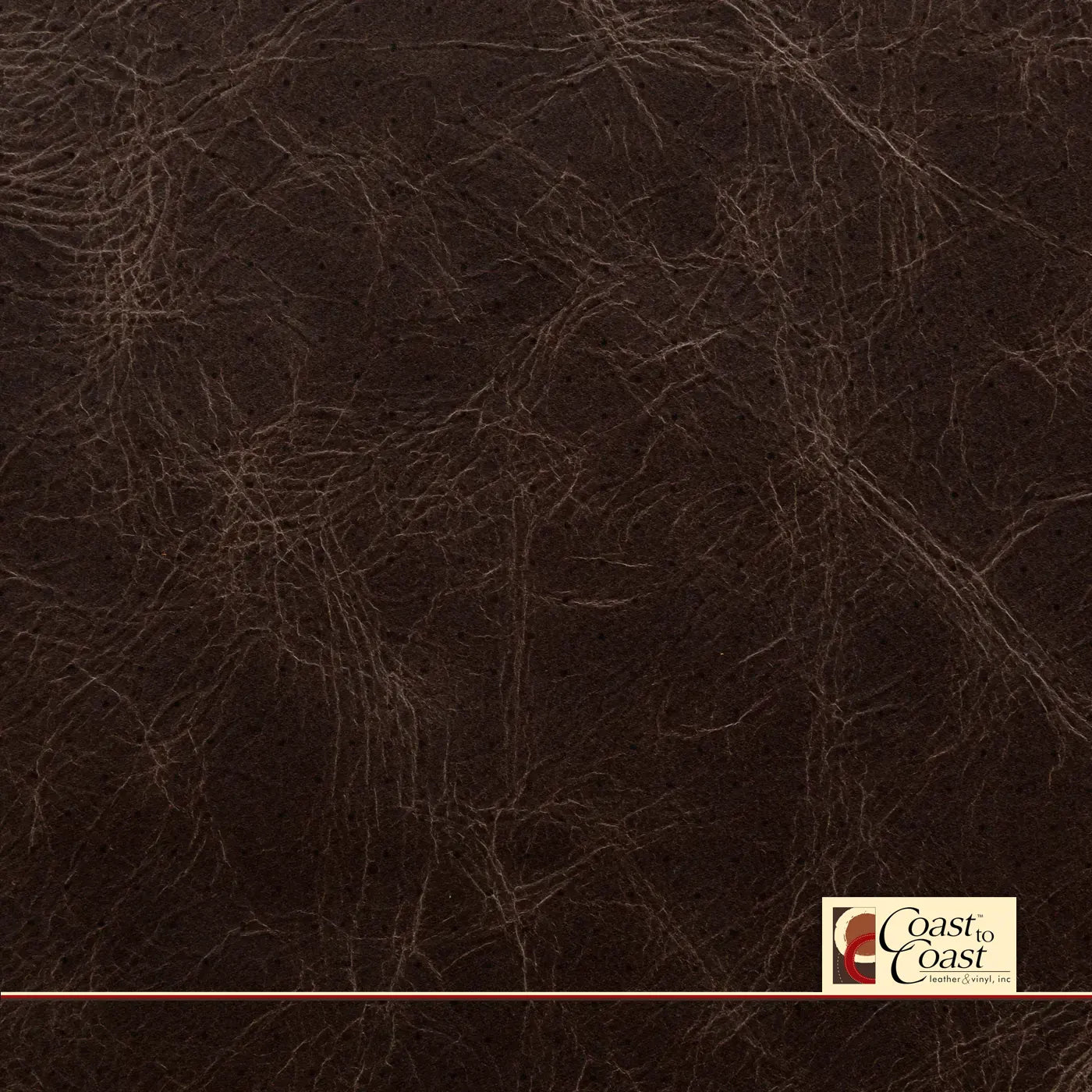 Cigar Brown Full Hide / Standard Perf (3/8In) Leather