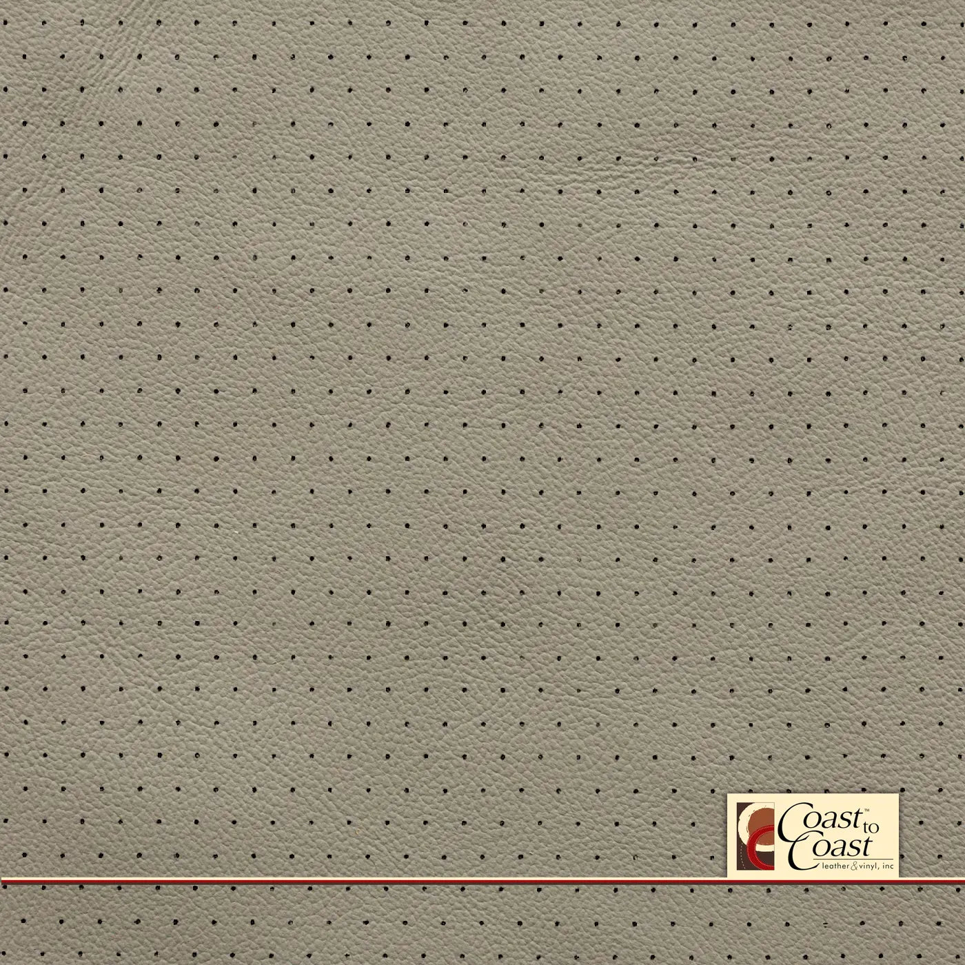 Gm Lt Platinium Full Hide / Euro Perf (3/8In) Leather