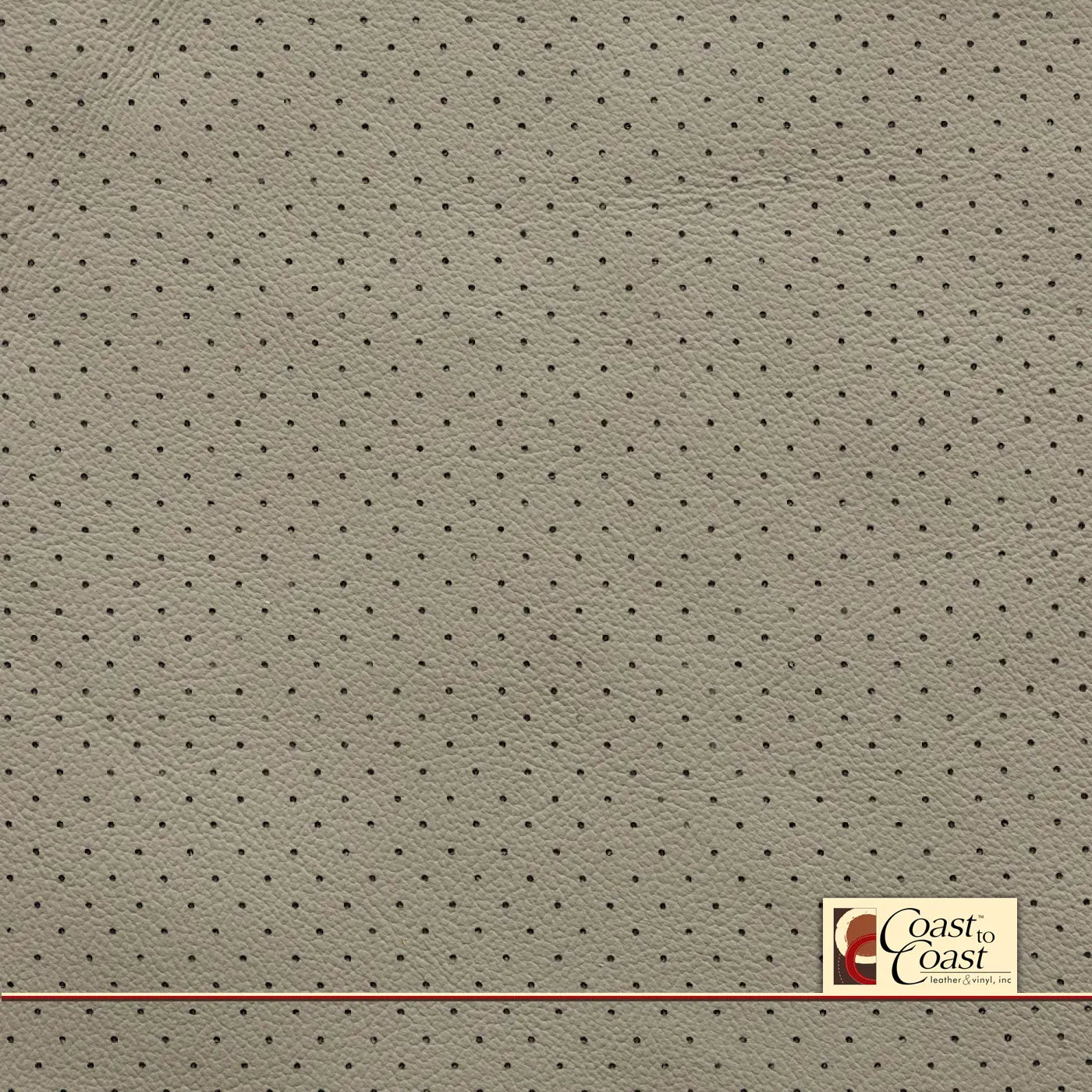 Gm Lt Platinium Full Hide / Small Hampton (1/4In) Leather