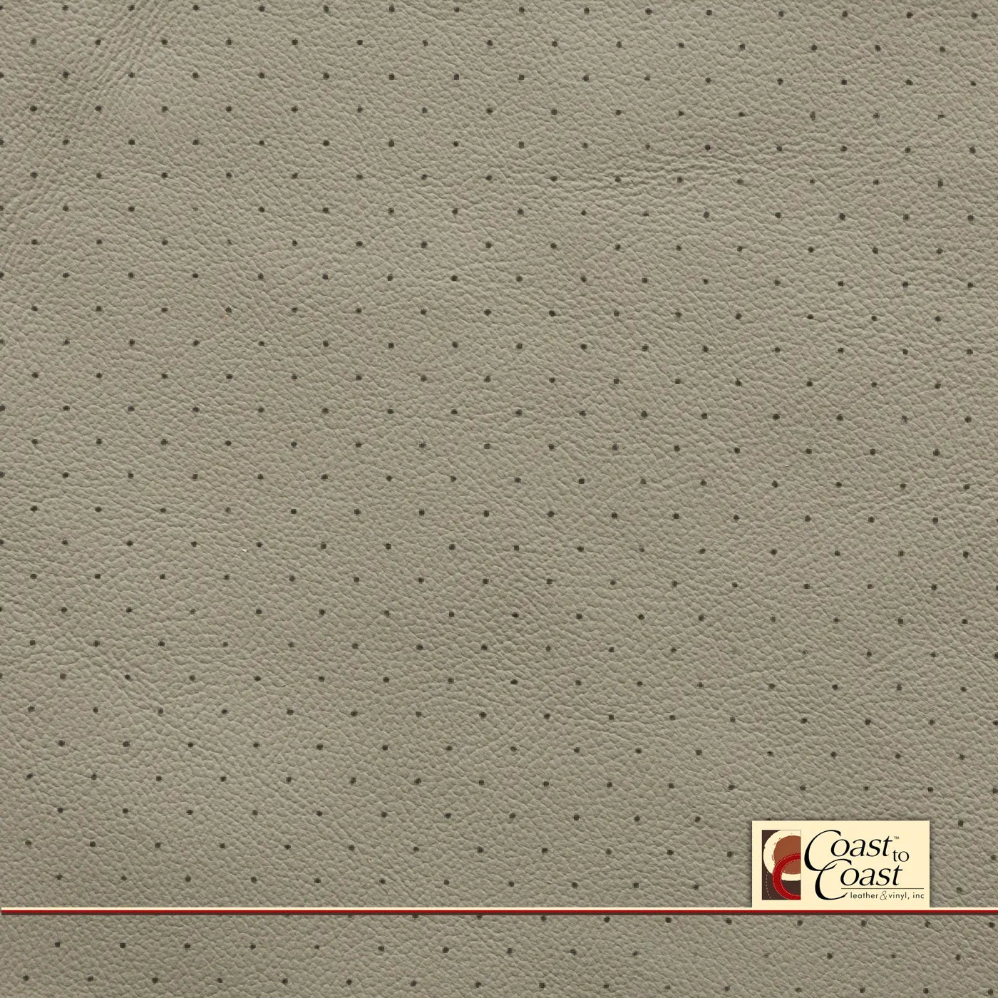 Gm Lt Platinium Full Hide / Standard Perf (3/8In) Leather