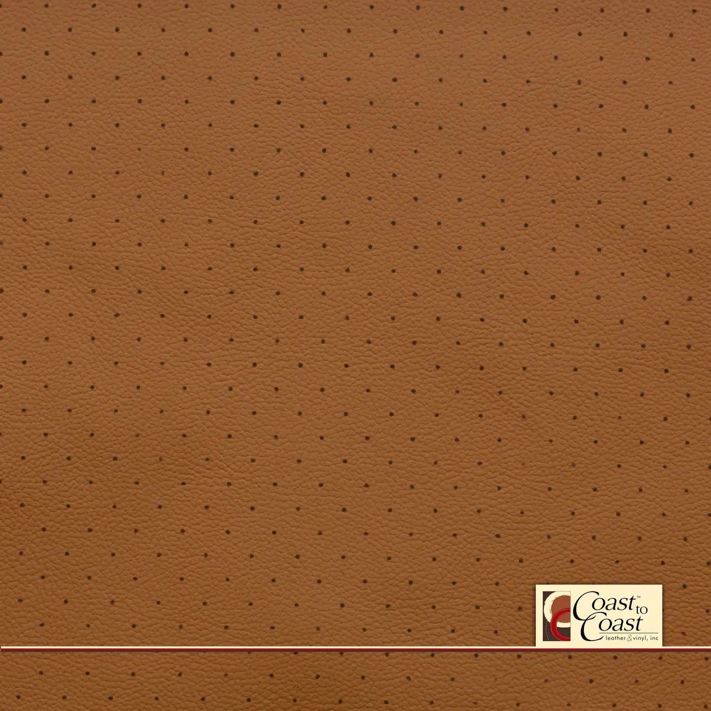 Gm Mojave Full Hide / Standard Perf (3/8In) Leather