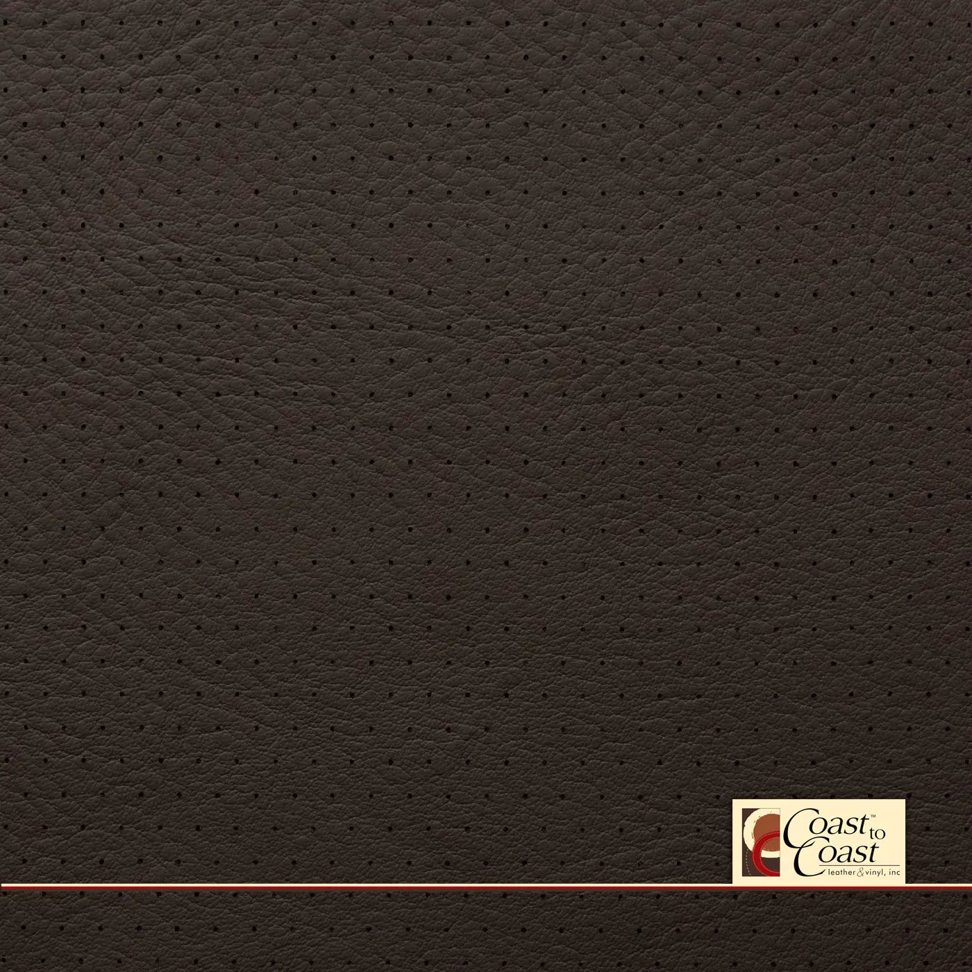 Ford Mesa Antique Effect Full Hide / Euro Perf (3/8In) Leather