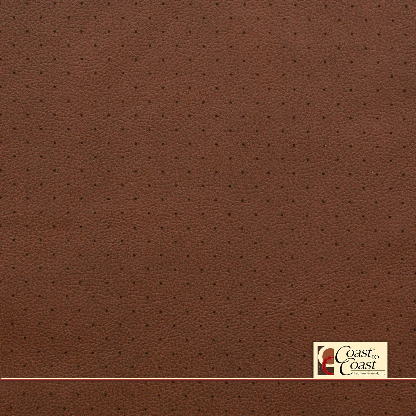 Gm Kona/Loft Brown Full Hide / Standard Perf (3/8In) Leather