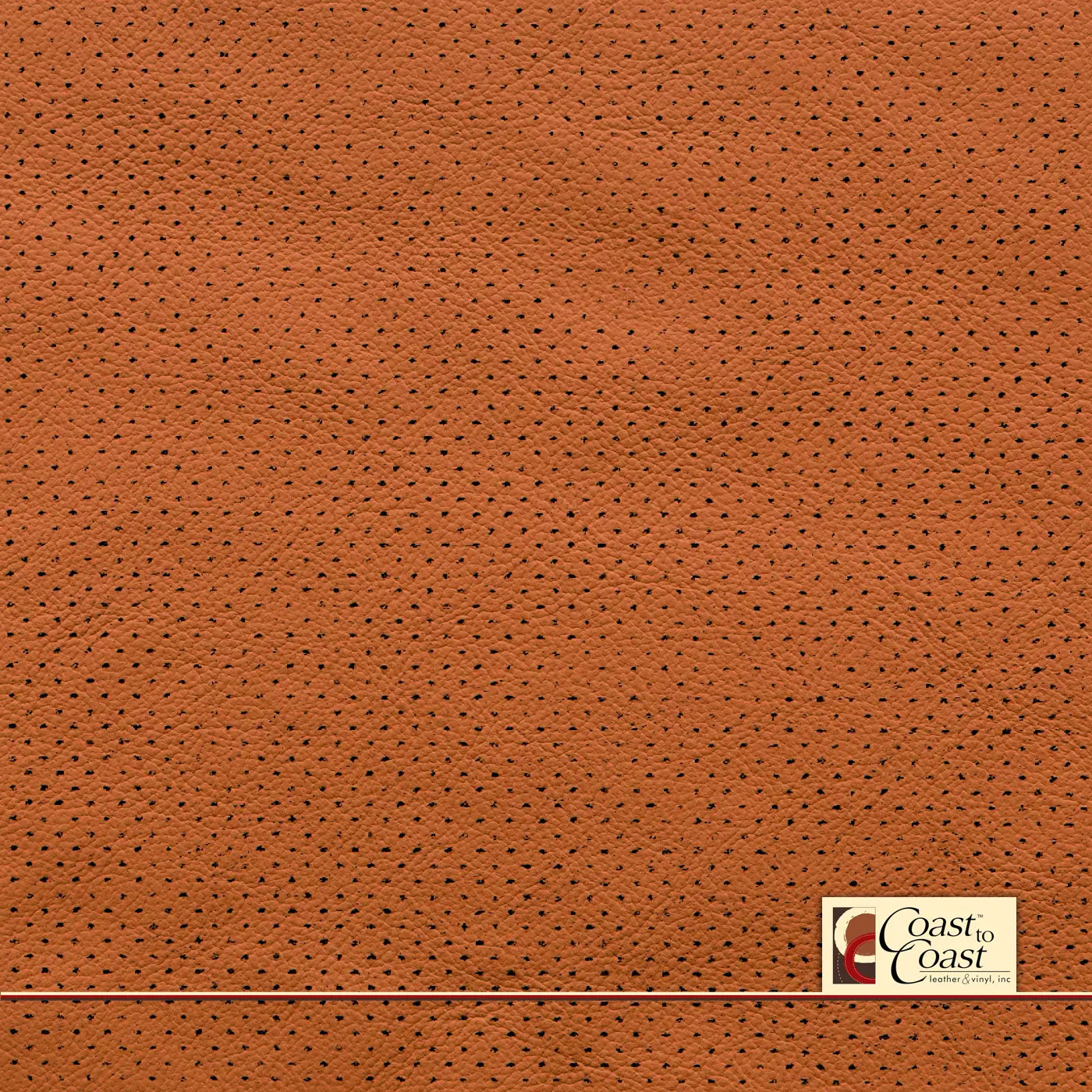 Gm Cinnamon Full Hide / Mirco Perf (1/16In) Leather