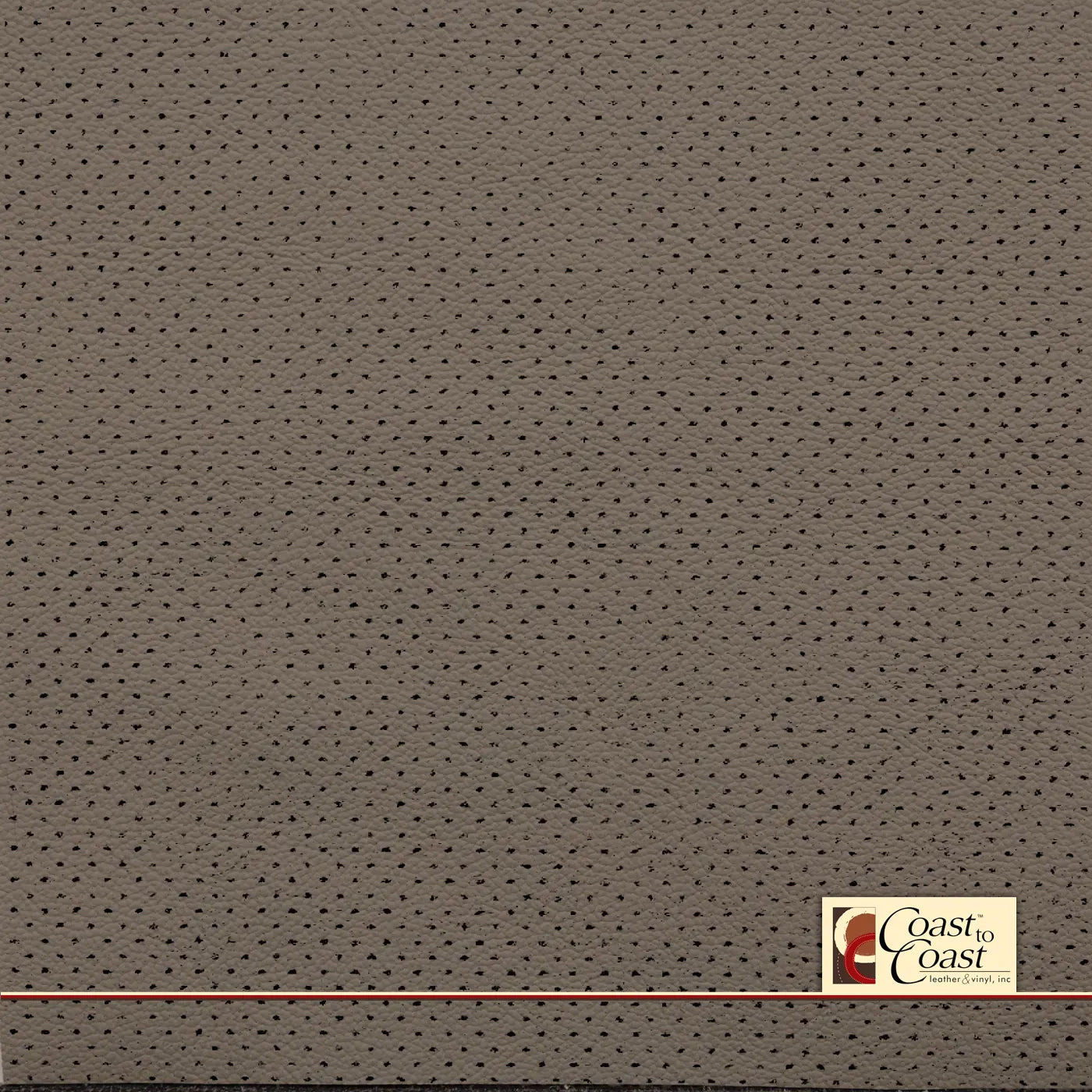 Chrysler LT Taupe