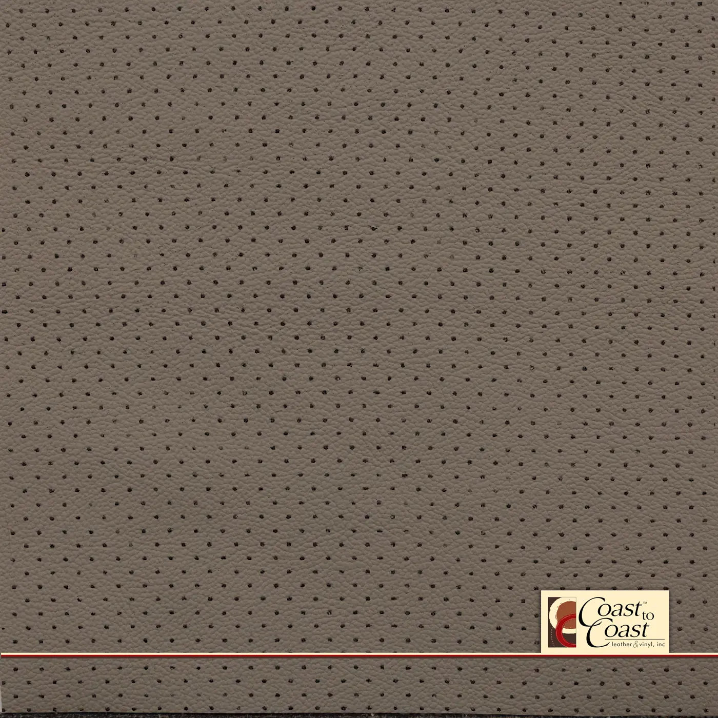 Chrysler LT Taupe