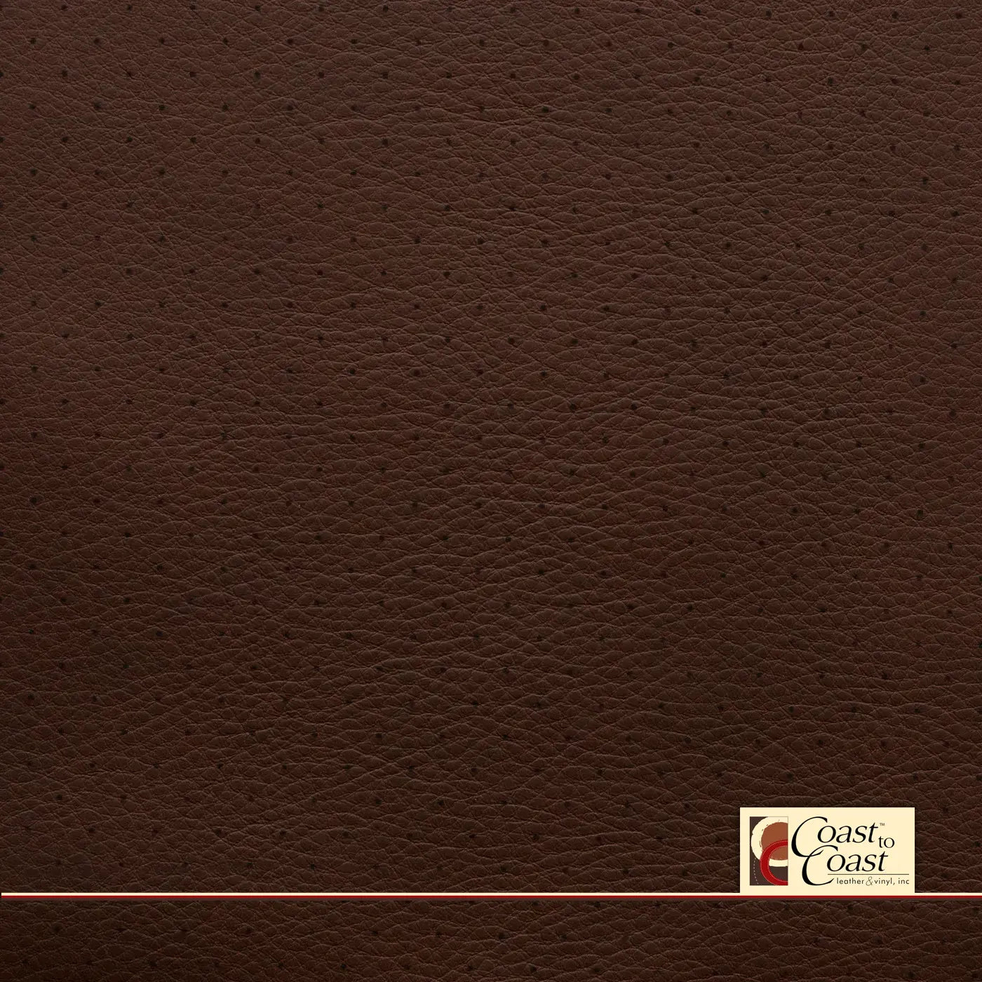 King Ranch Brown Full Hide / Standard Perf (3/8In) Leather