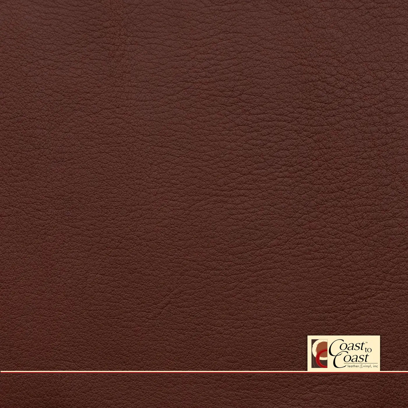 Ford King Ranch Chestnut Plain Vinyl