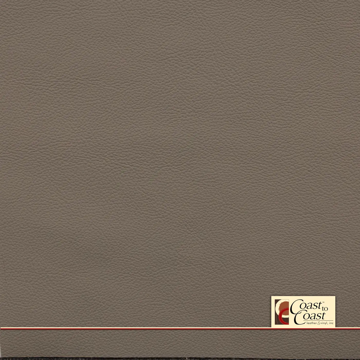 Chrysler Lt Taupe Vinyl